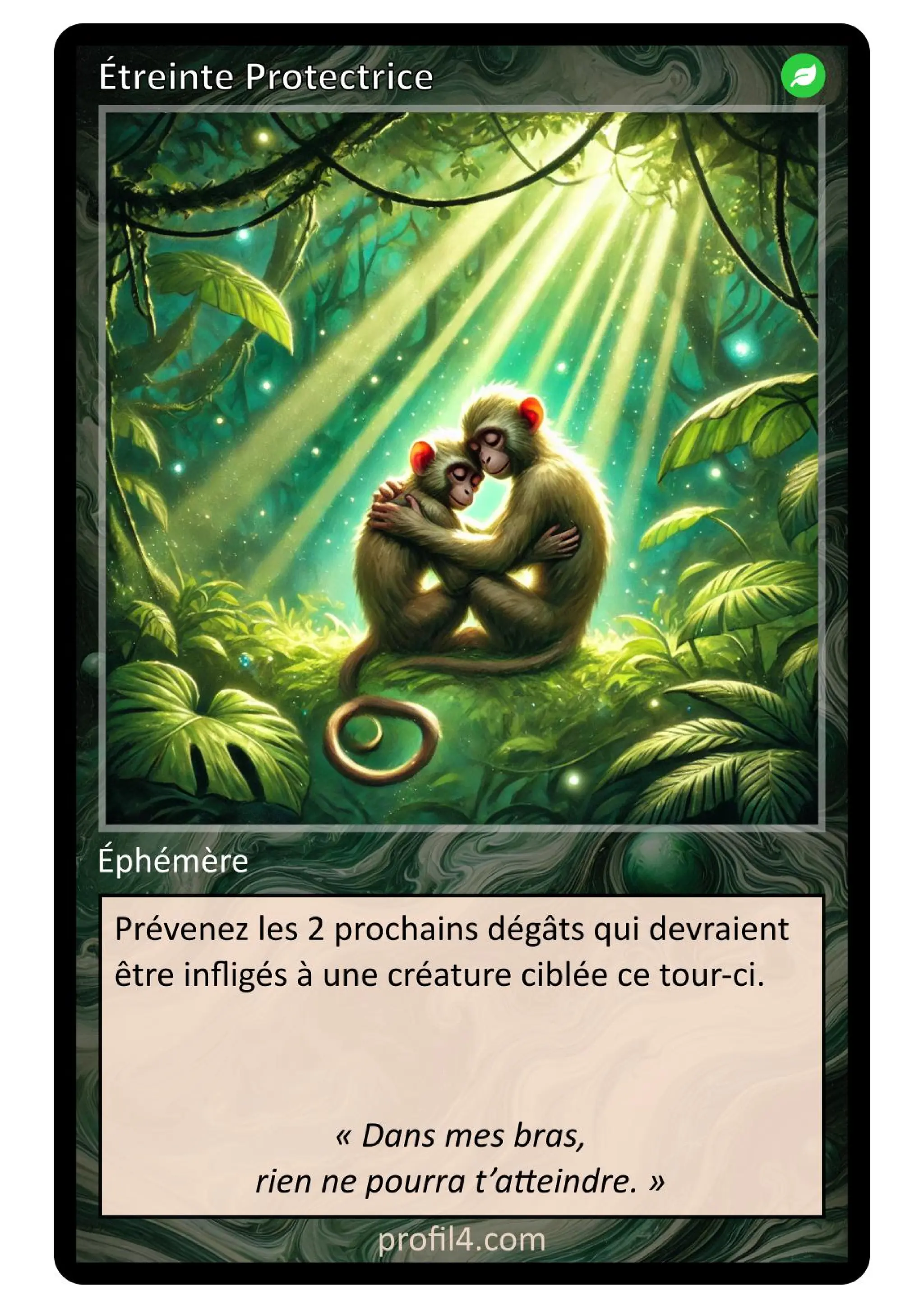 Jeu de 205 cartes DISC - Le rassemblement