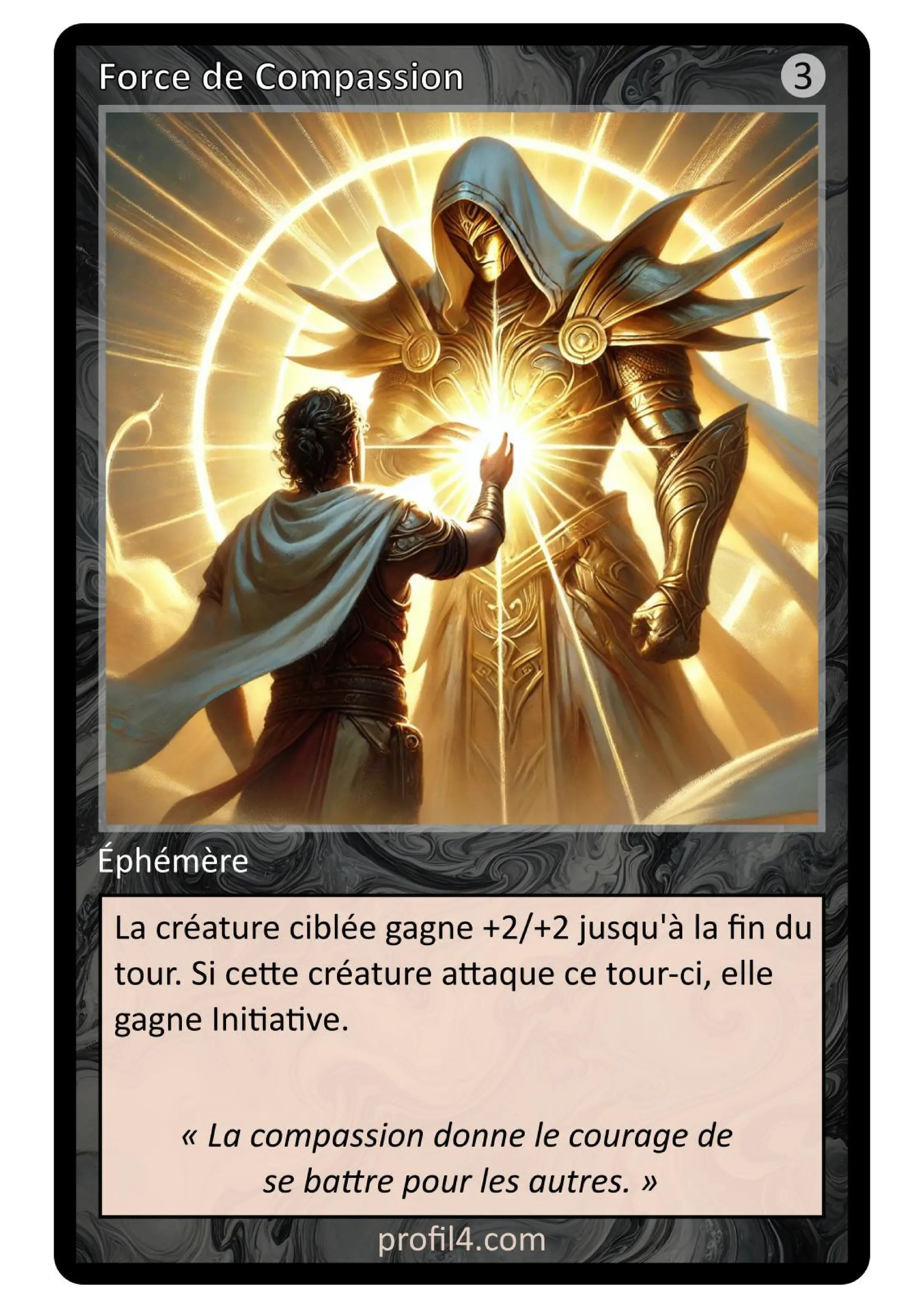 Jeu de 205 cartes DISC - Le rassemblement