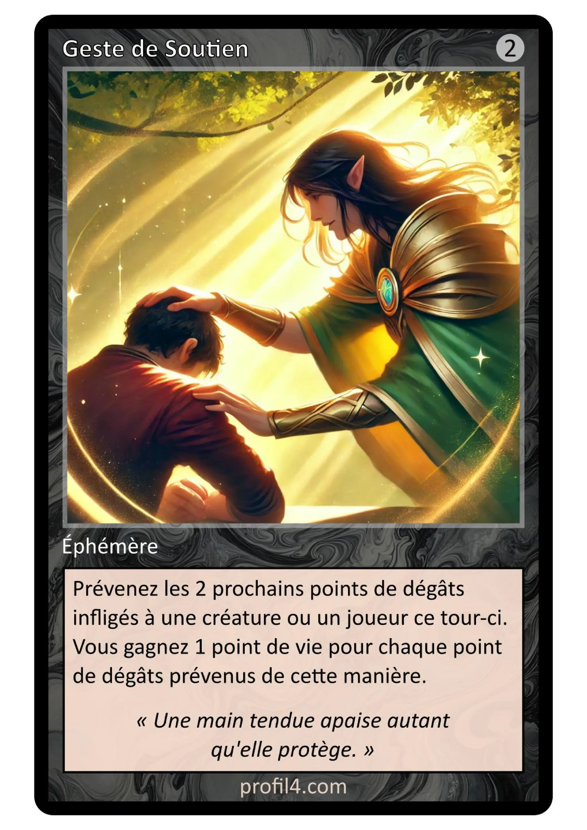 Jeu de 205 cartes DISC - Le rassemblement