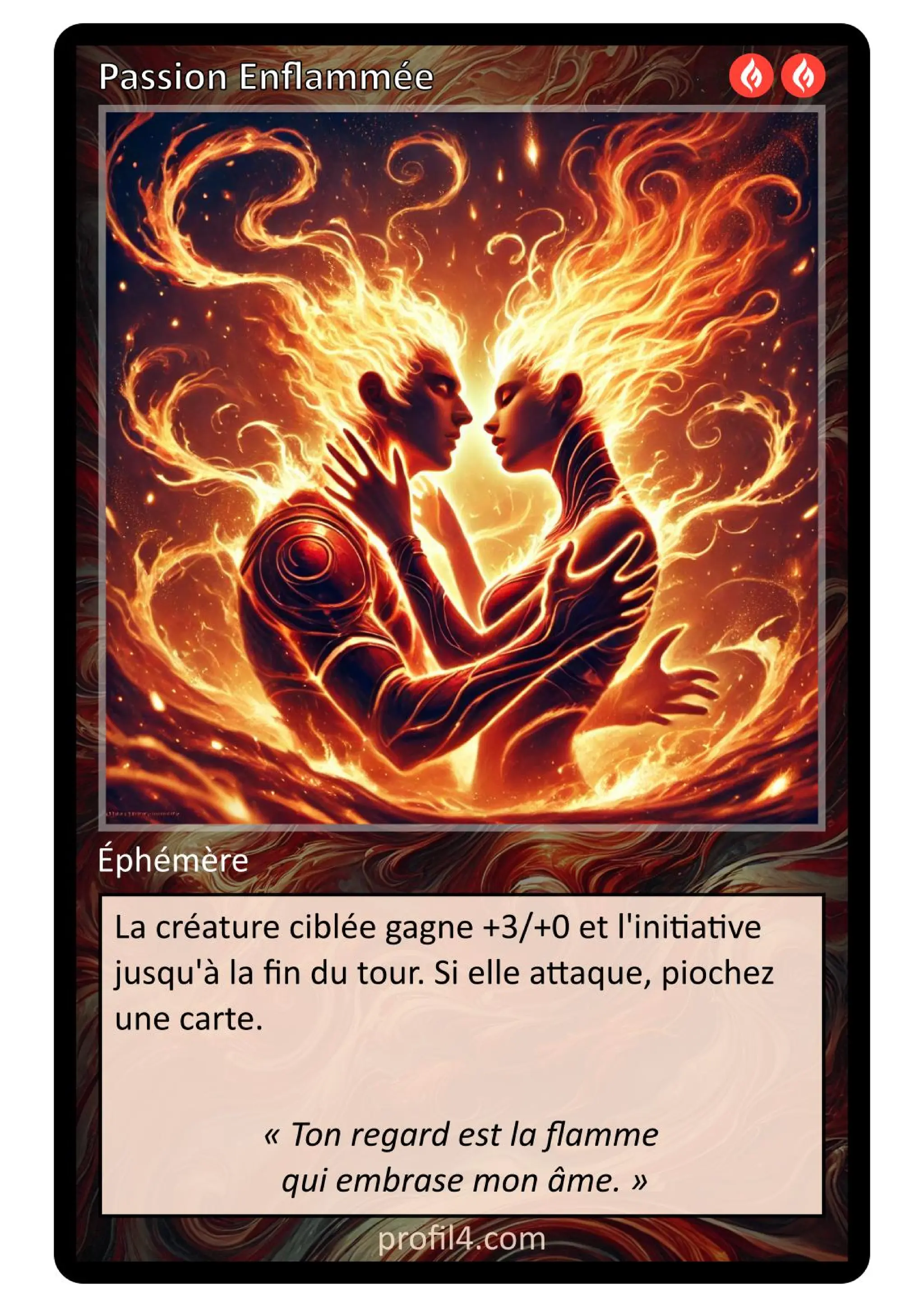 Jeu de 205 cartes DISC - Le rassemblement