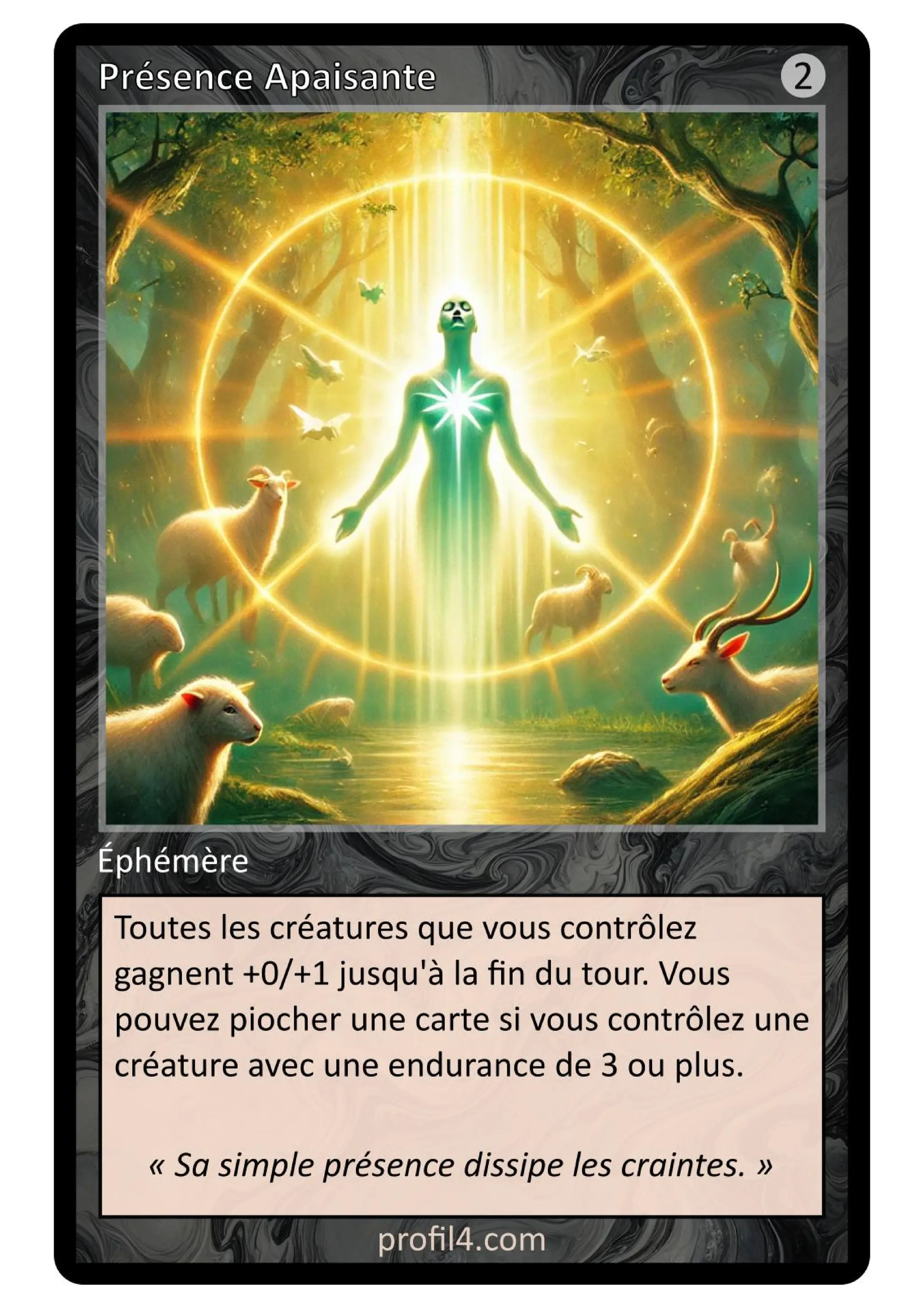 Jeu de 205 cartes DISC - Le rassemblement