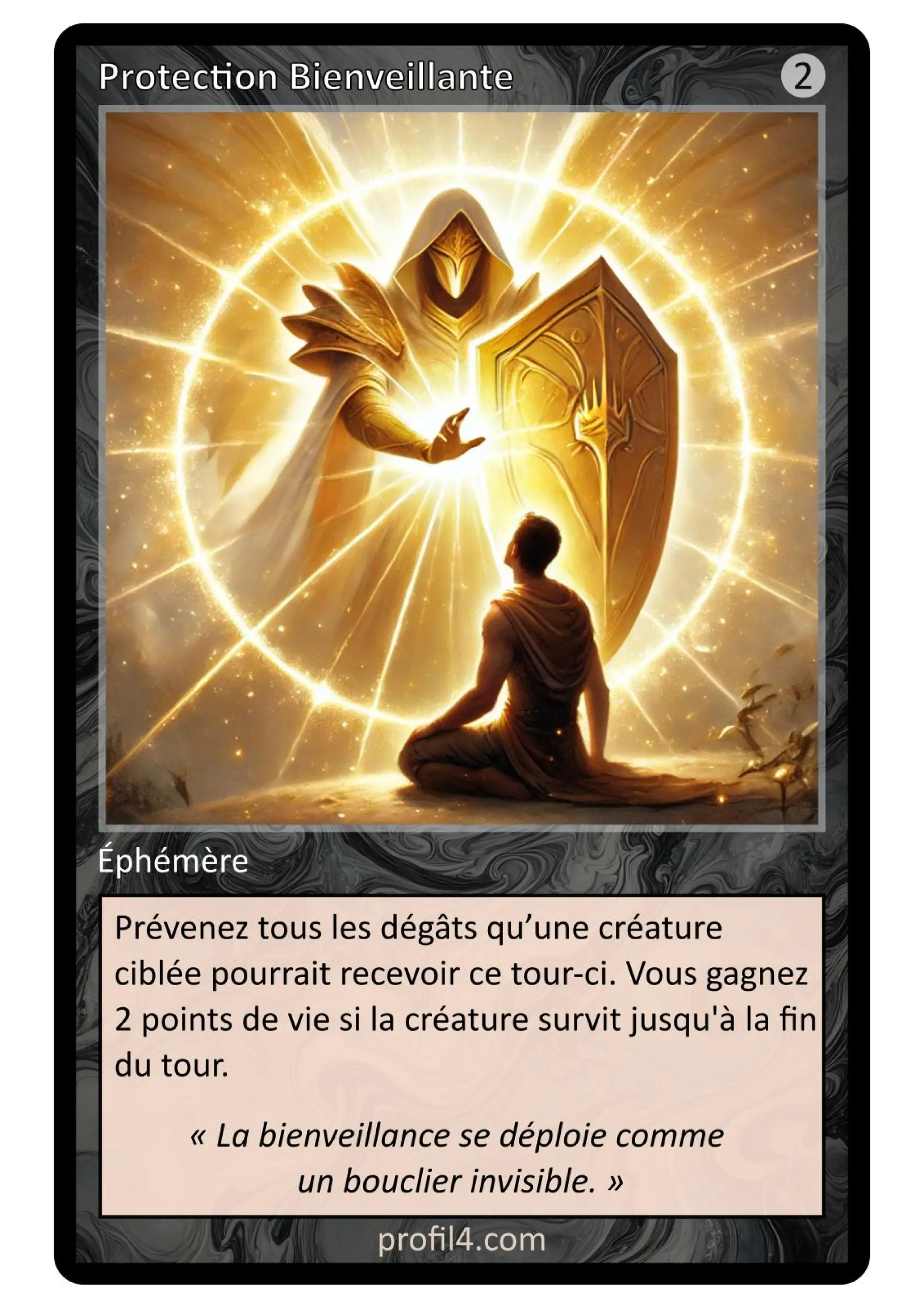 Jeu de 205 cartes DISC - Le rassemblement