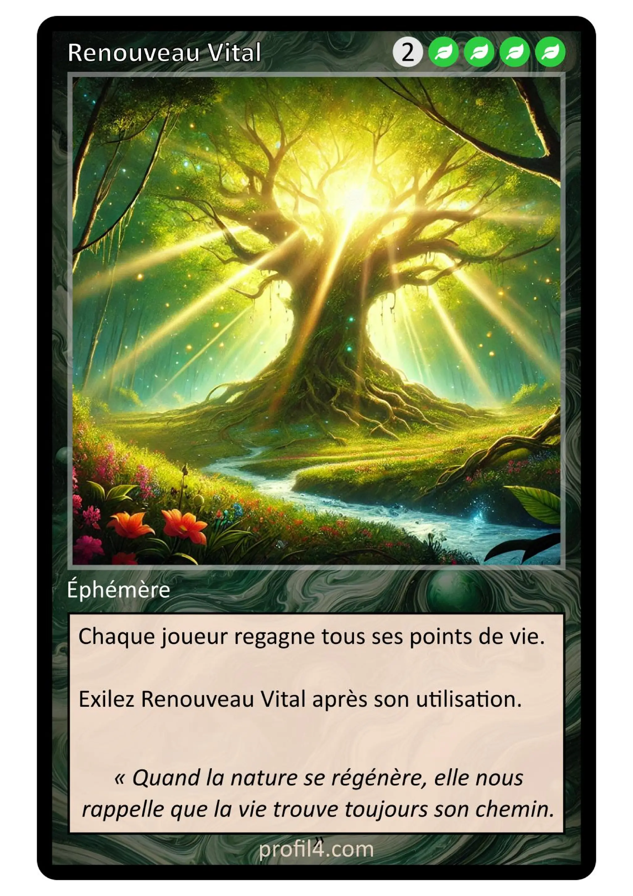 Jeu de 205 cartes DISC - Le rassemblement