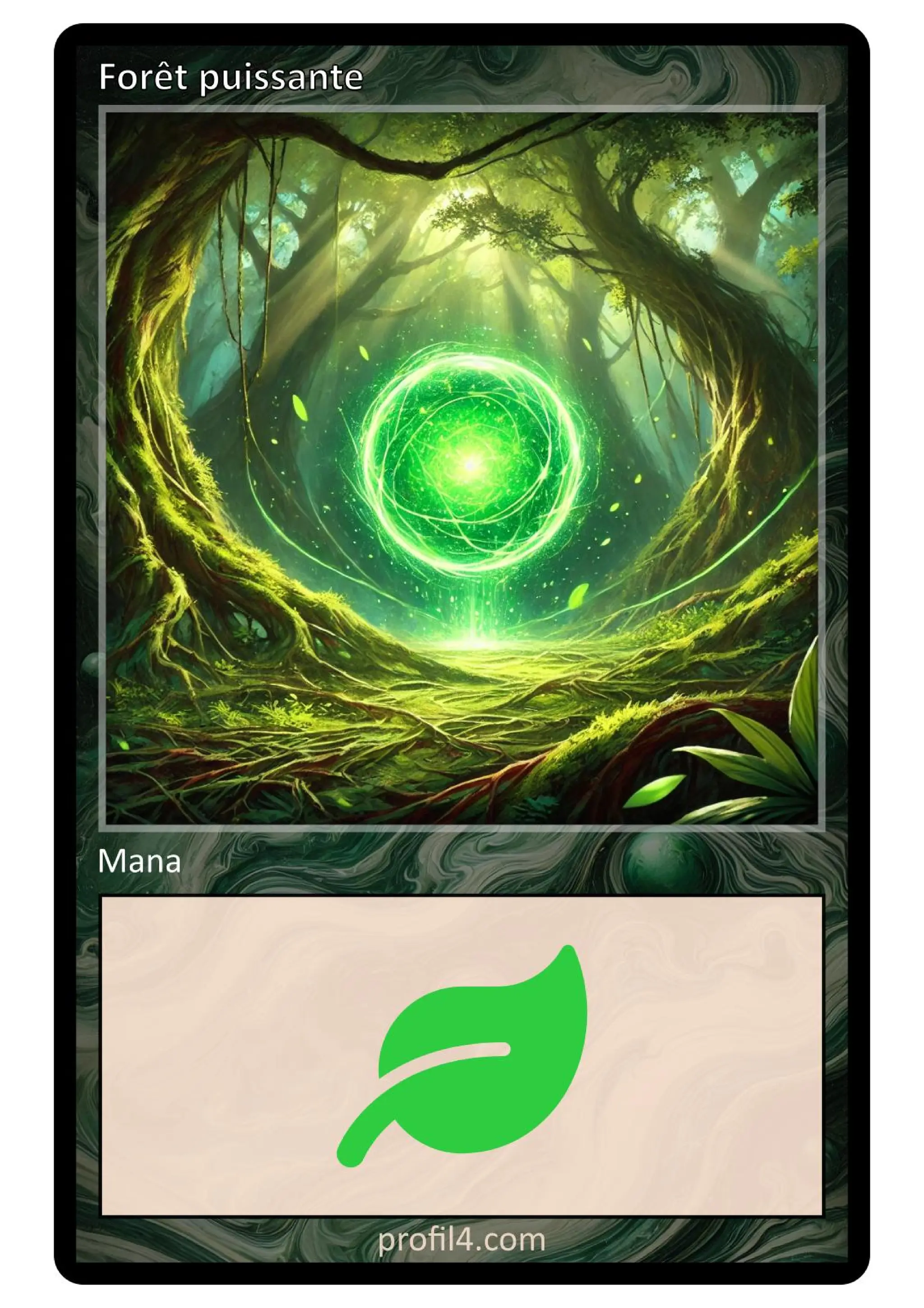 Jeu de 205 cartes DISC - Le rassemblement