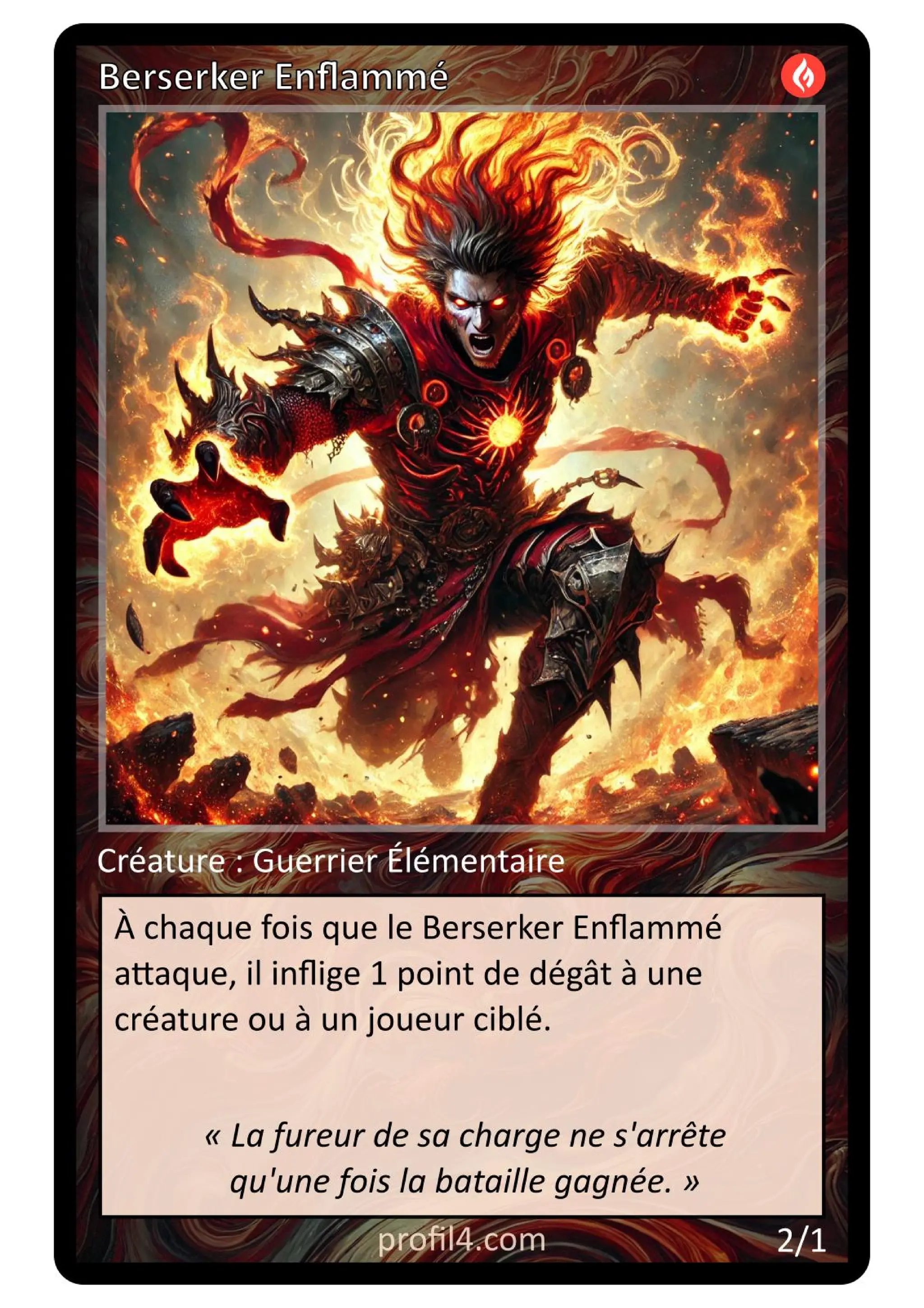 Jeu de 205 cartes DISC - Le rassemblement