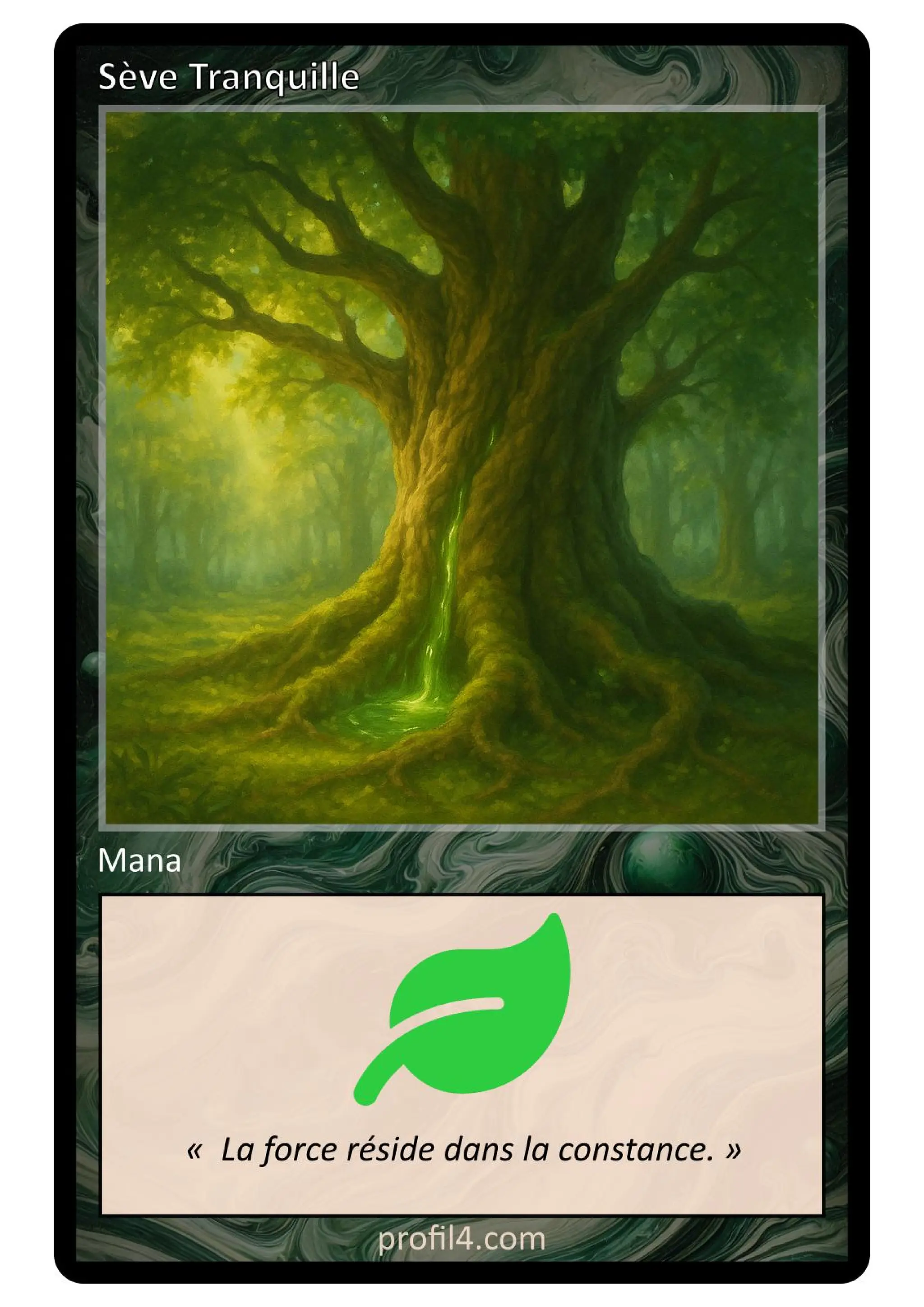 Jeu de 205 cartes DISC - Le rassemblement