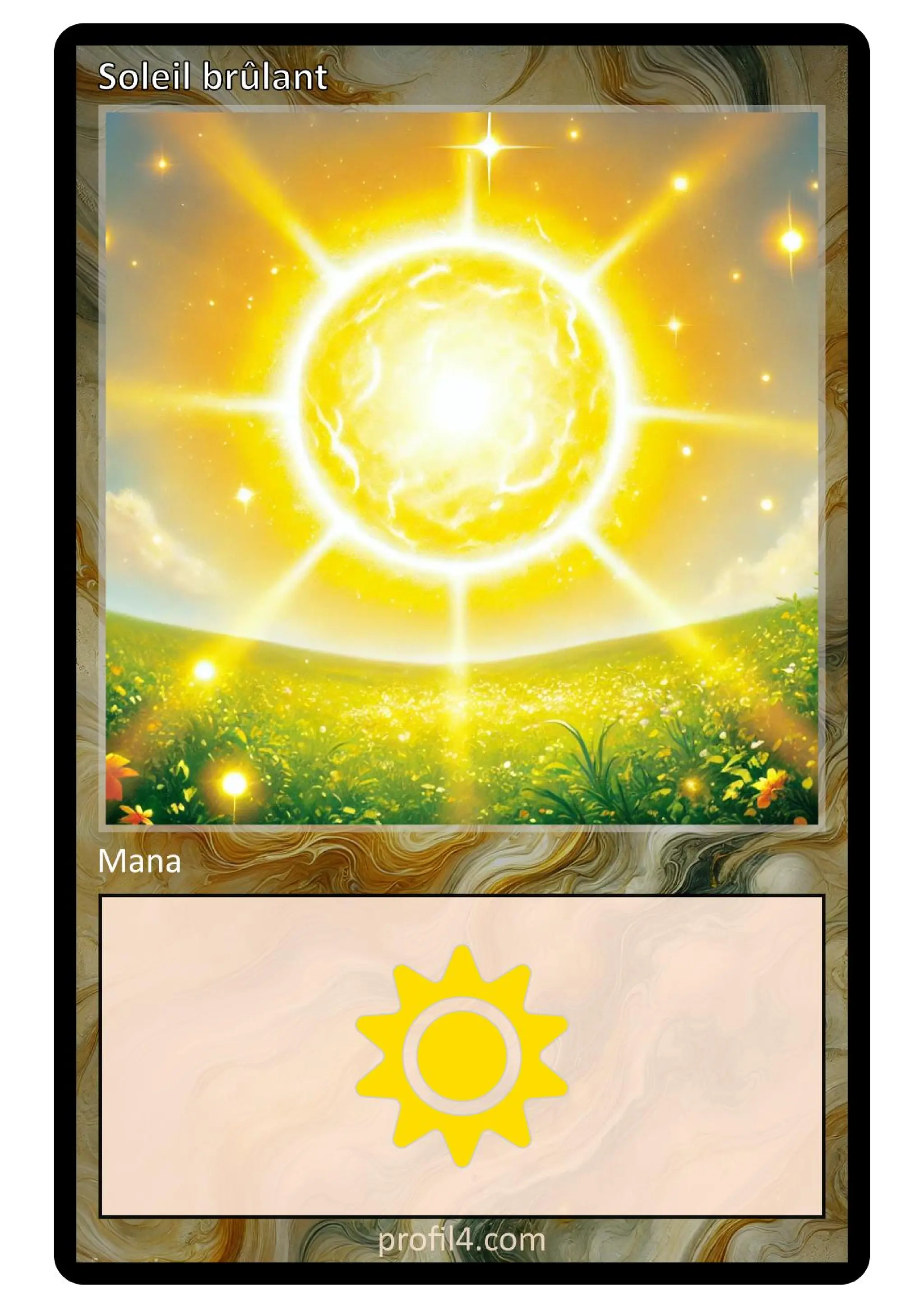 Jeu de 205 cartes DISC - Le rassemblement