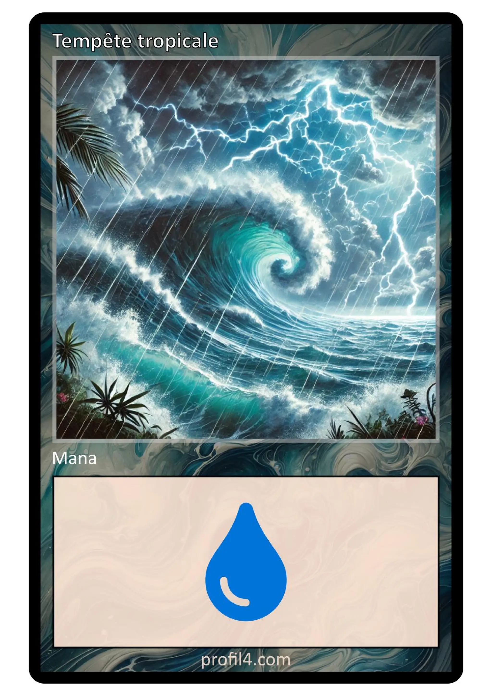 Jeu de 205 cartes DISC - Le rassemblement