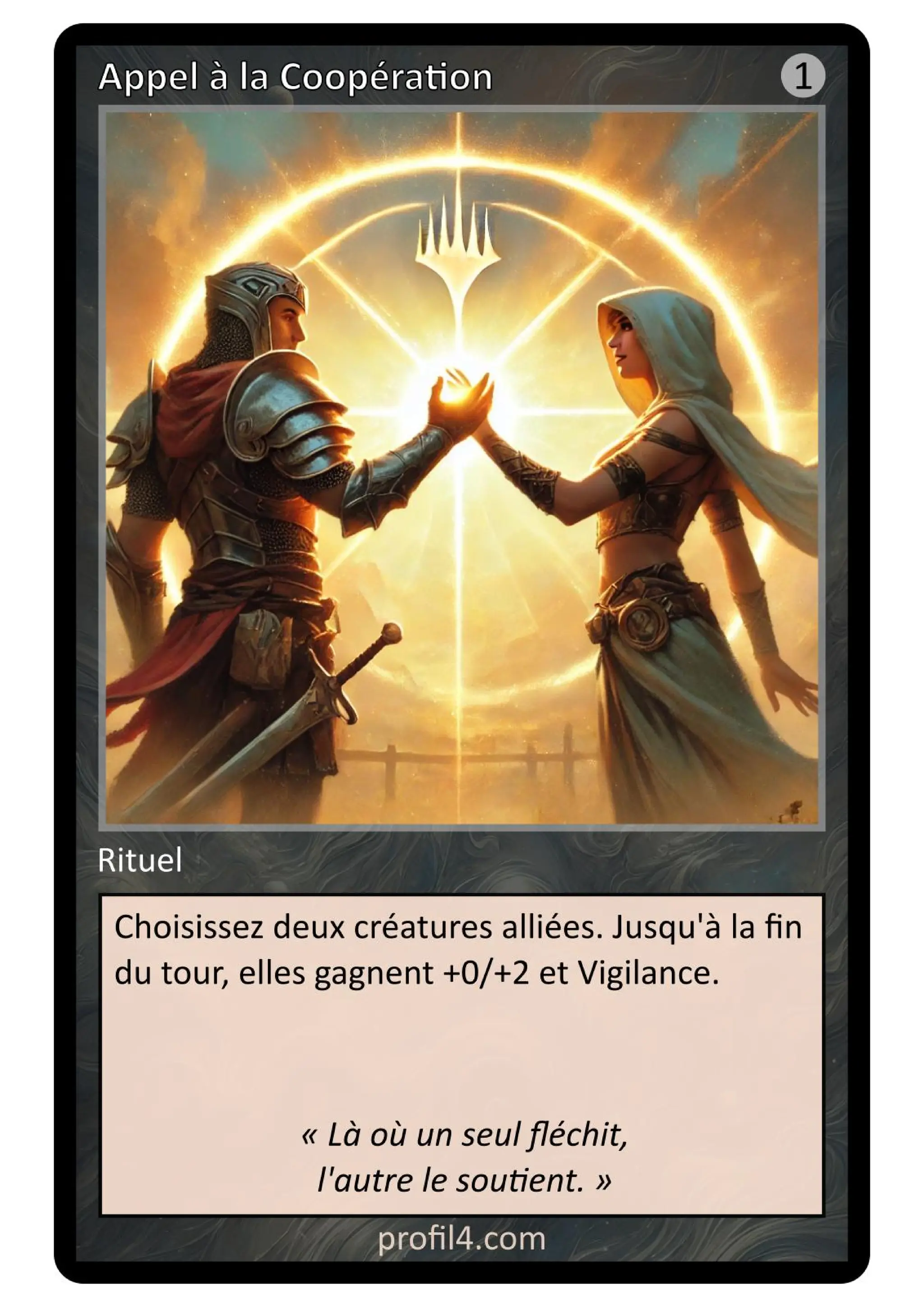 Jeu de 205 cartes DISC - Le rassemblement