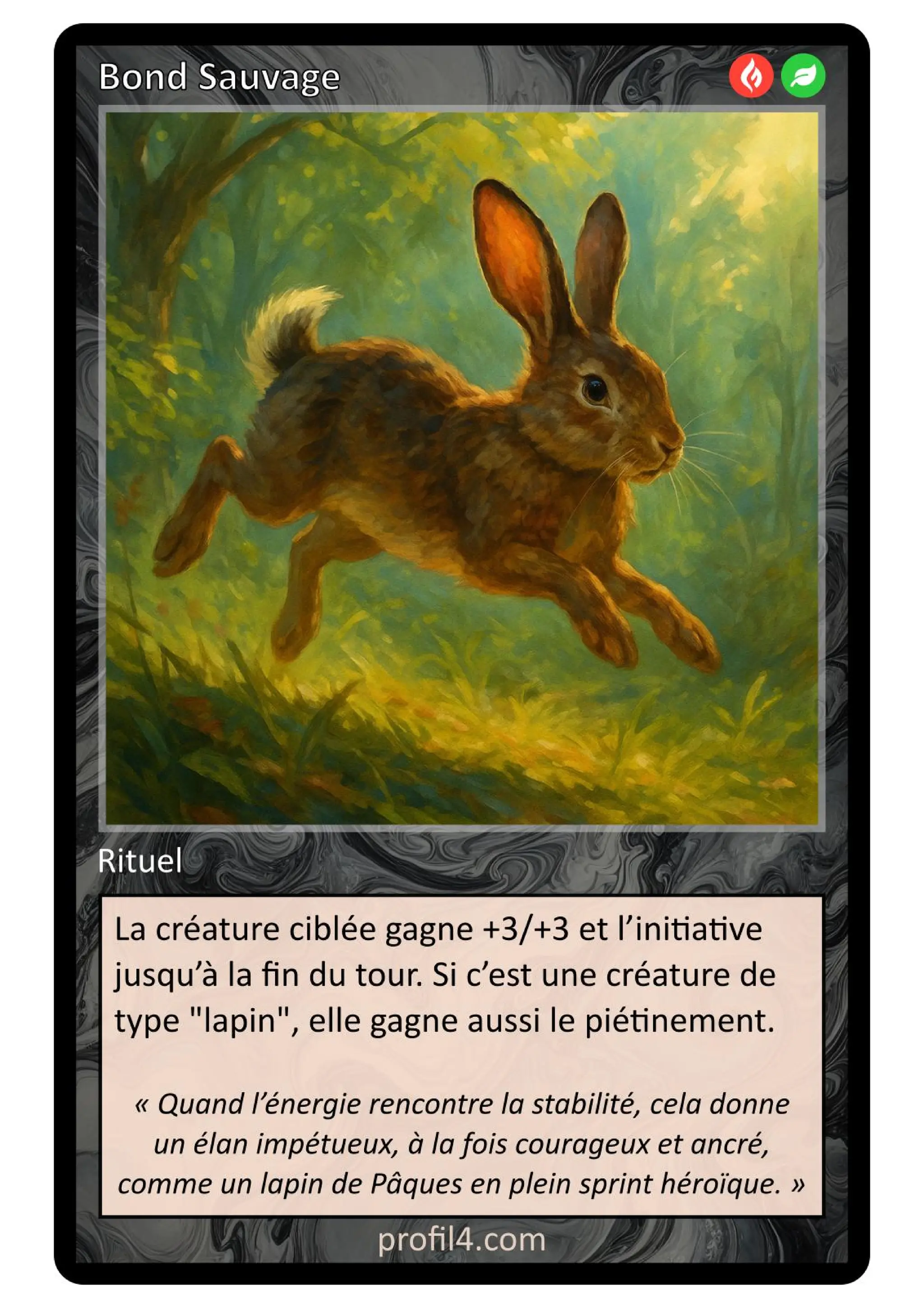 Jeu de 205 cartes DISC - Le rassemblement