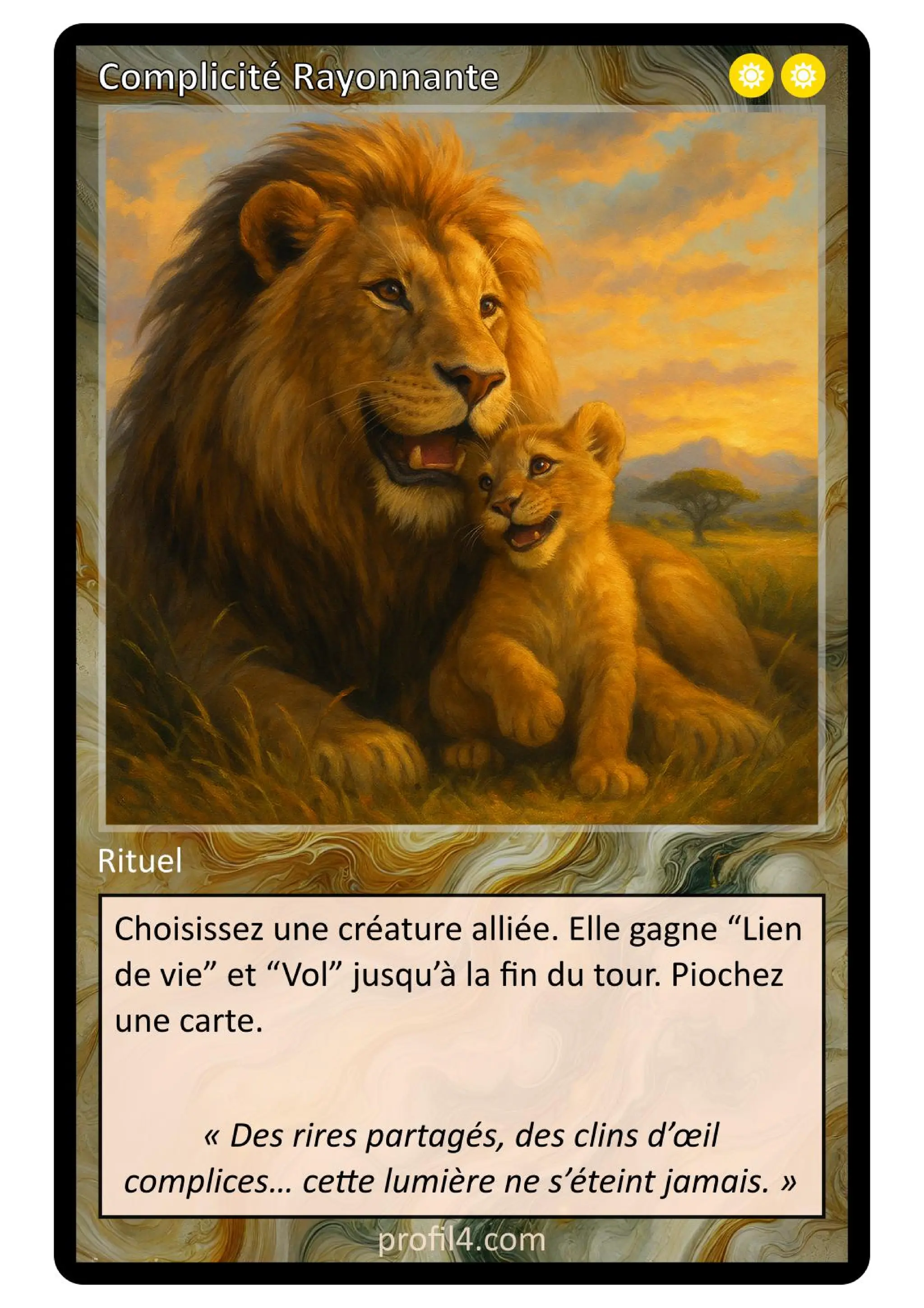 Jeu de 205 cartes DISC - Le rassemblement