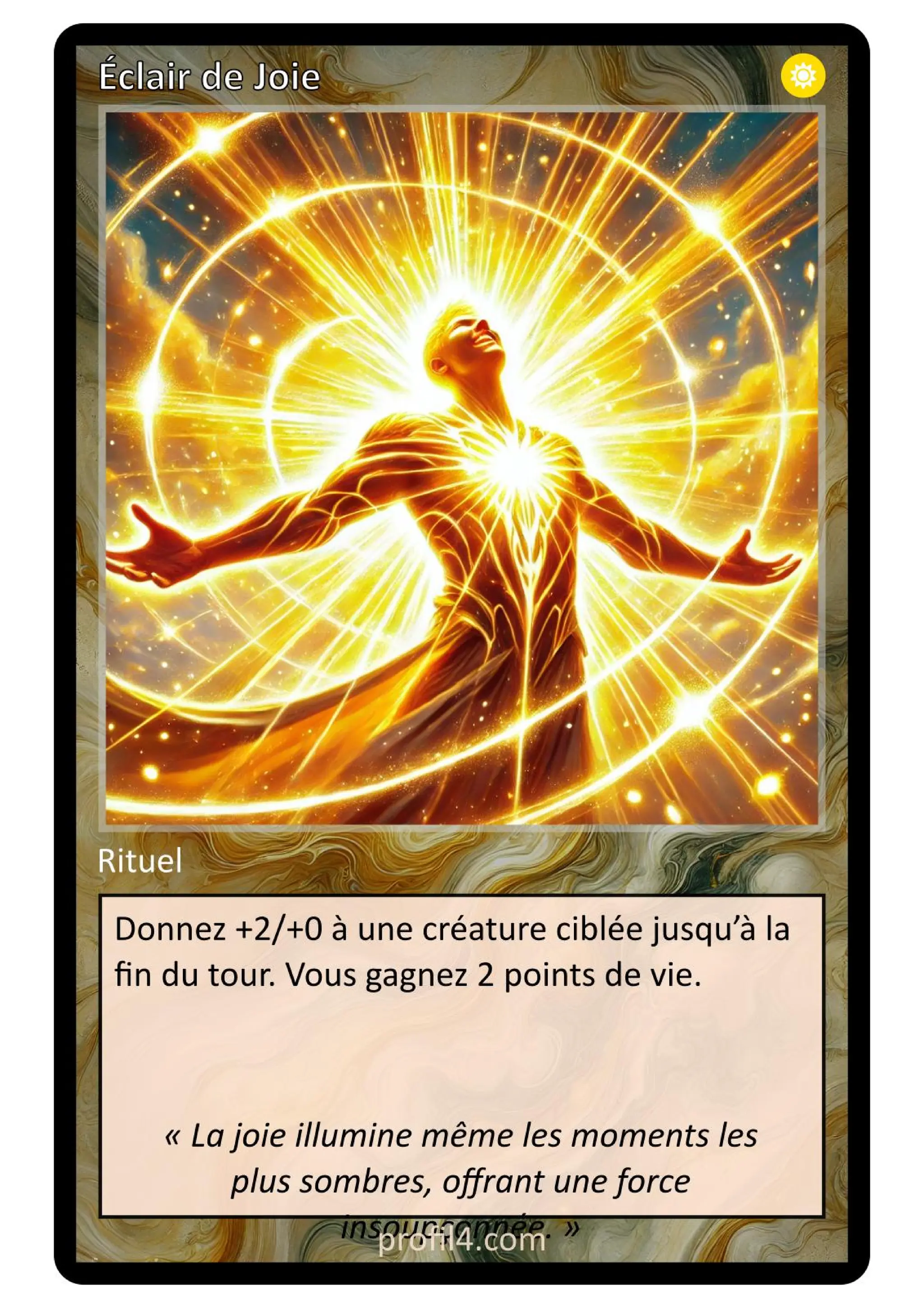 Jeu de 205 cartes DISC - Le rassemblement