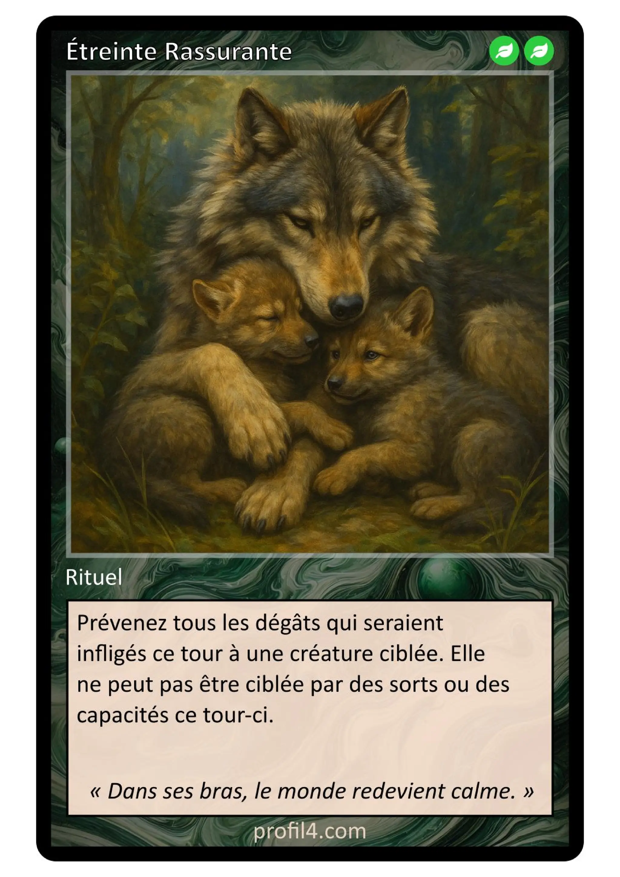 Jeu de 205 cartes DISC - Le rassemblement