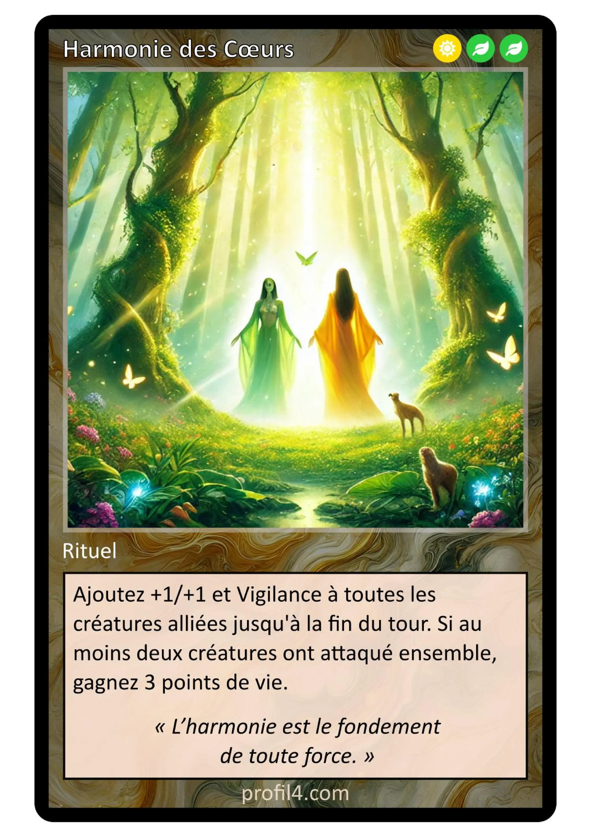Jeu de 205 cartes DISC - Le rassemblement
