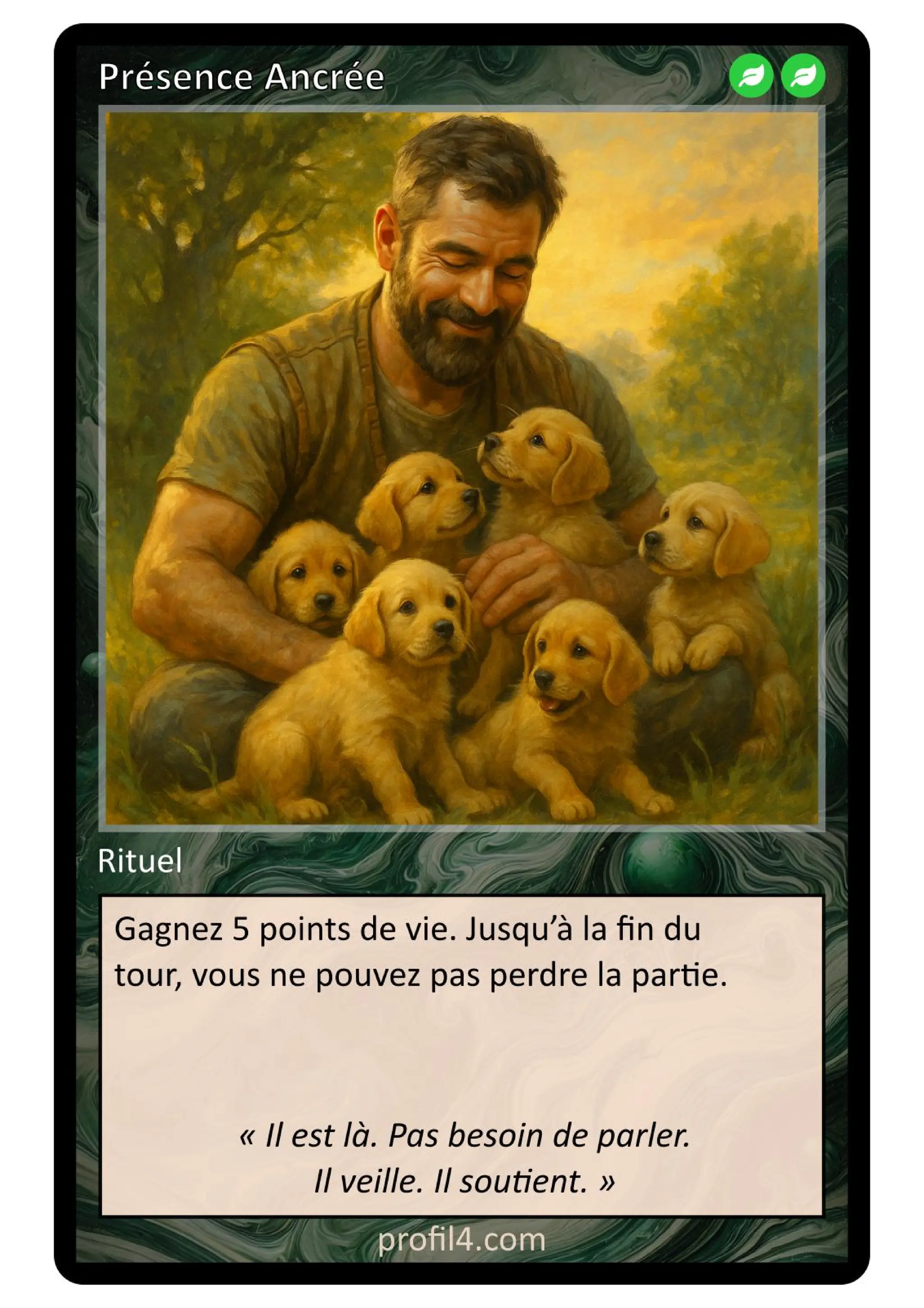Jeu de 205 cartes DISC - Le rassemblement
