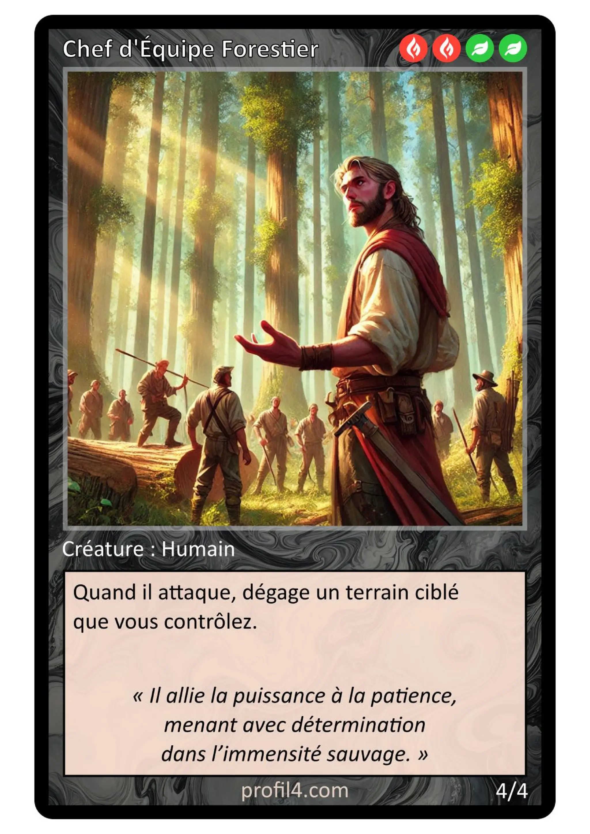 Jeu de 205 cartes DISC - Le rassemblement