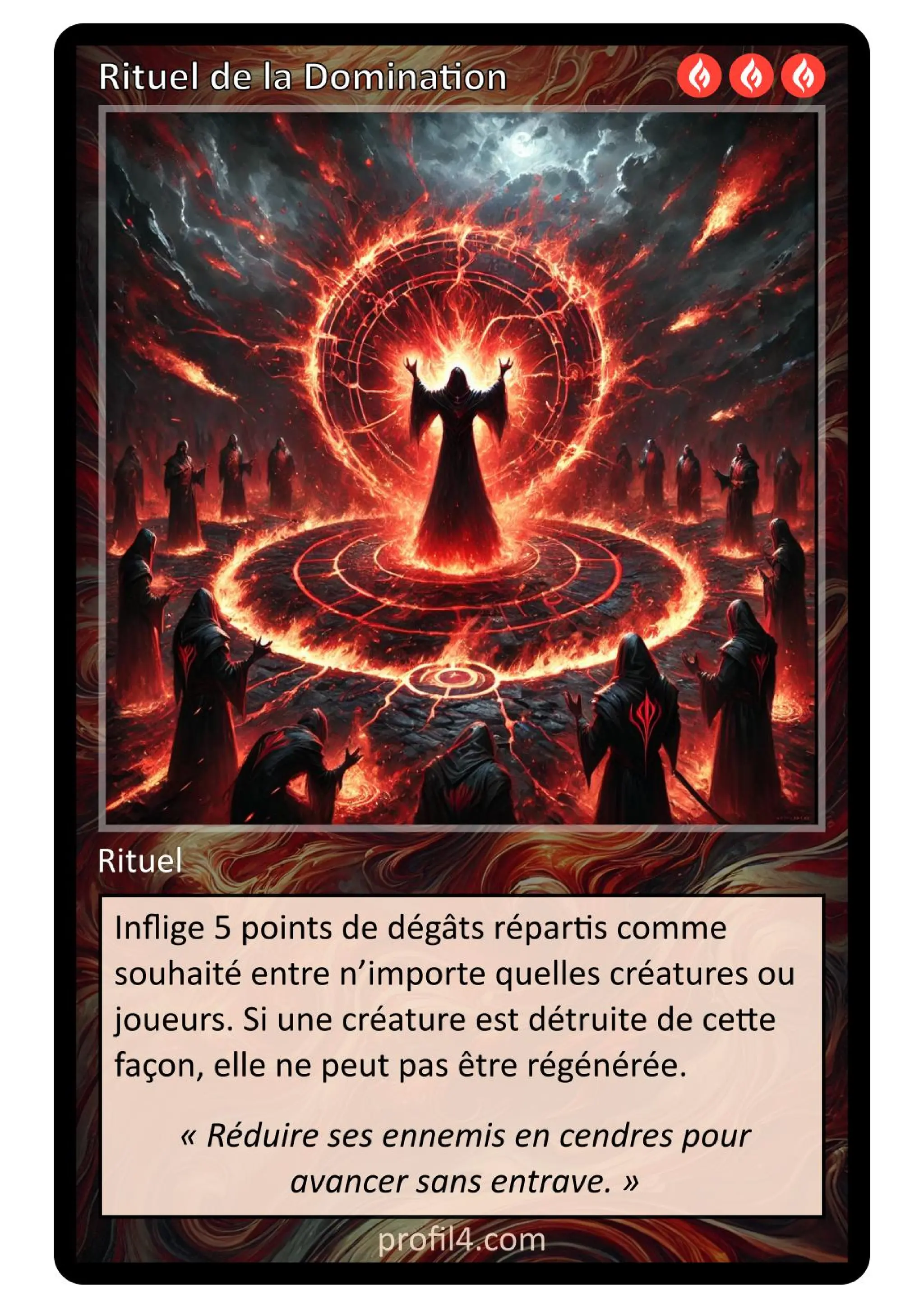 Jeu de 205 cartes DISC - Le rassemblement