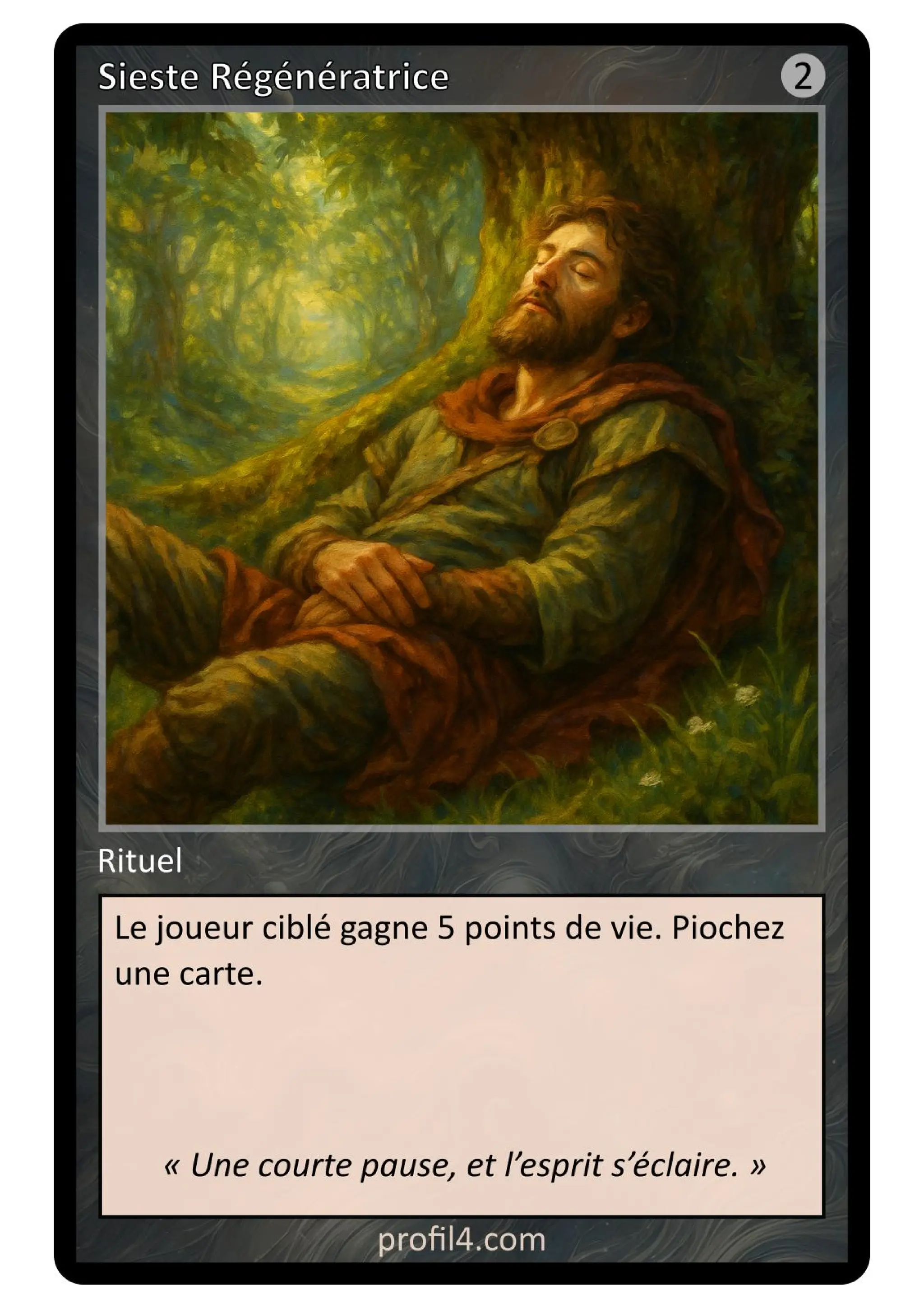 Jeu de 205 cartes DISC - Le rassemblement