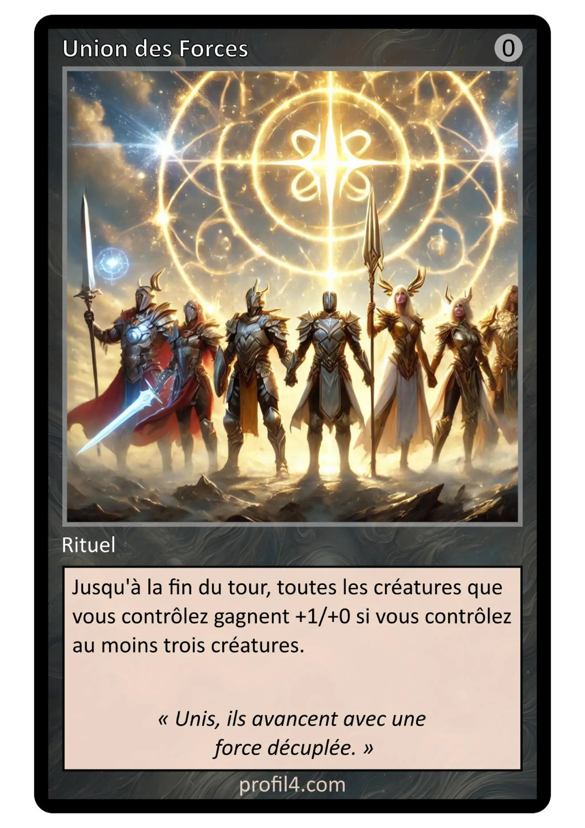 Jeu de 205 cartes DISC - Le rassemblement