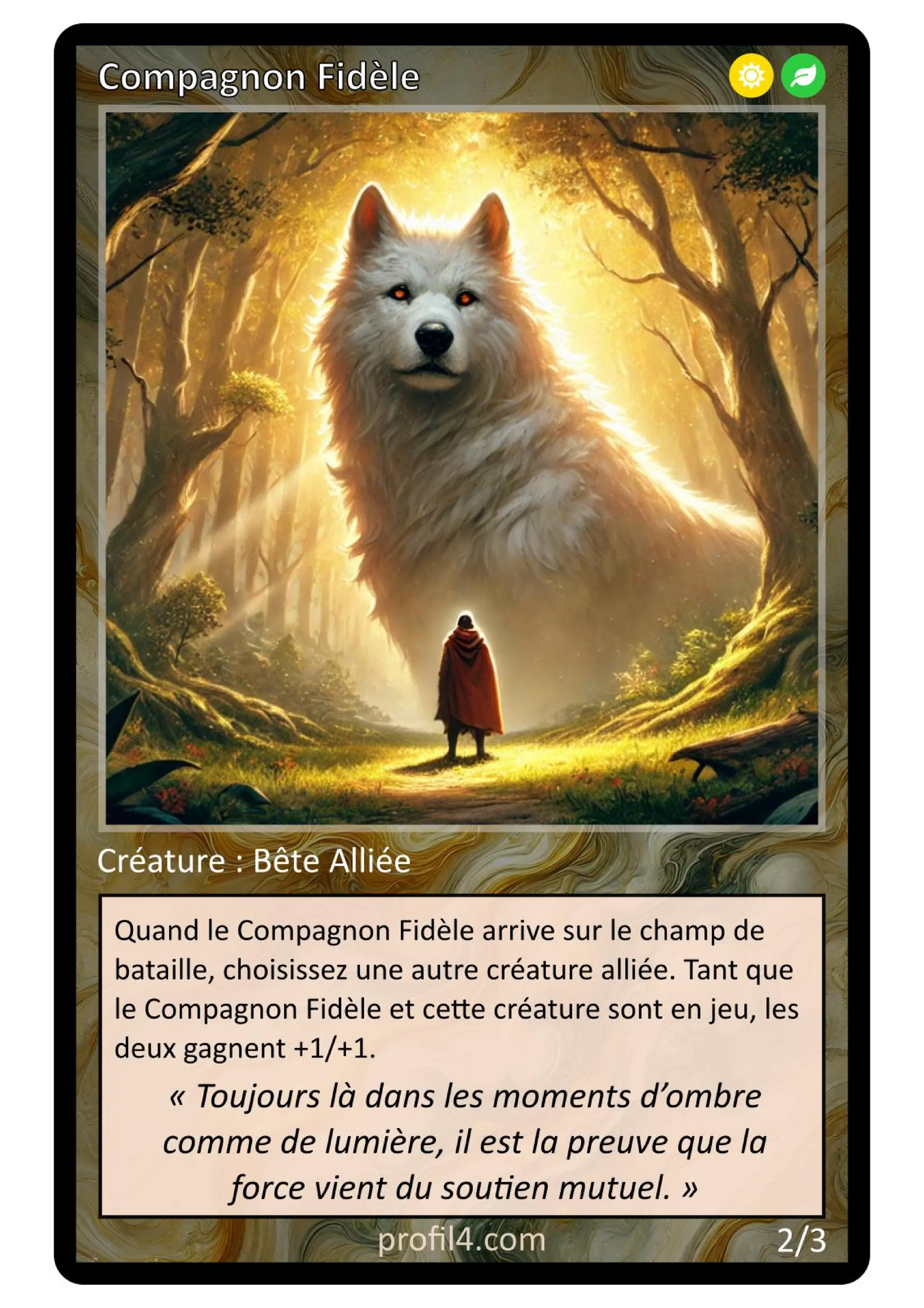 Jeu de 205 cartes DISC - Le rassemblement