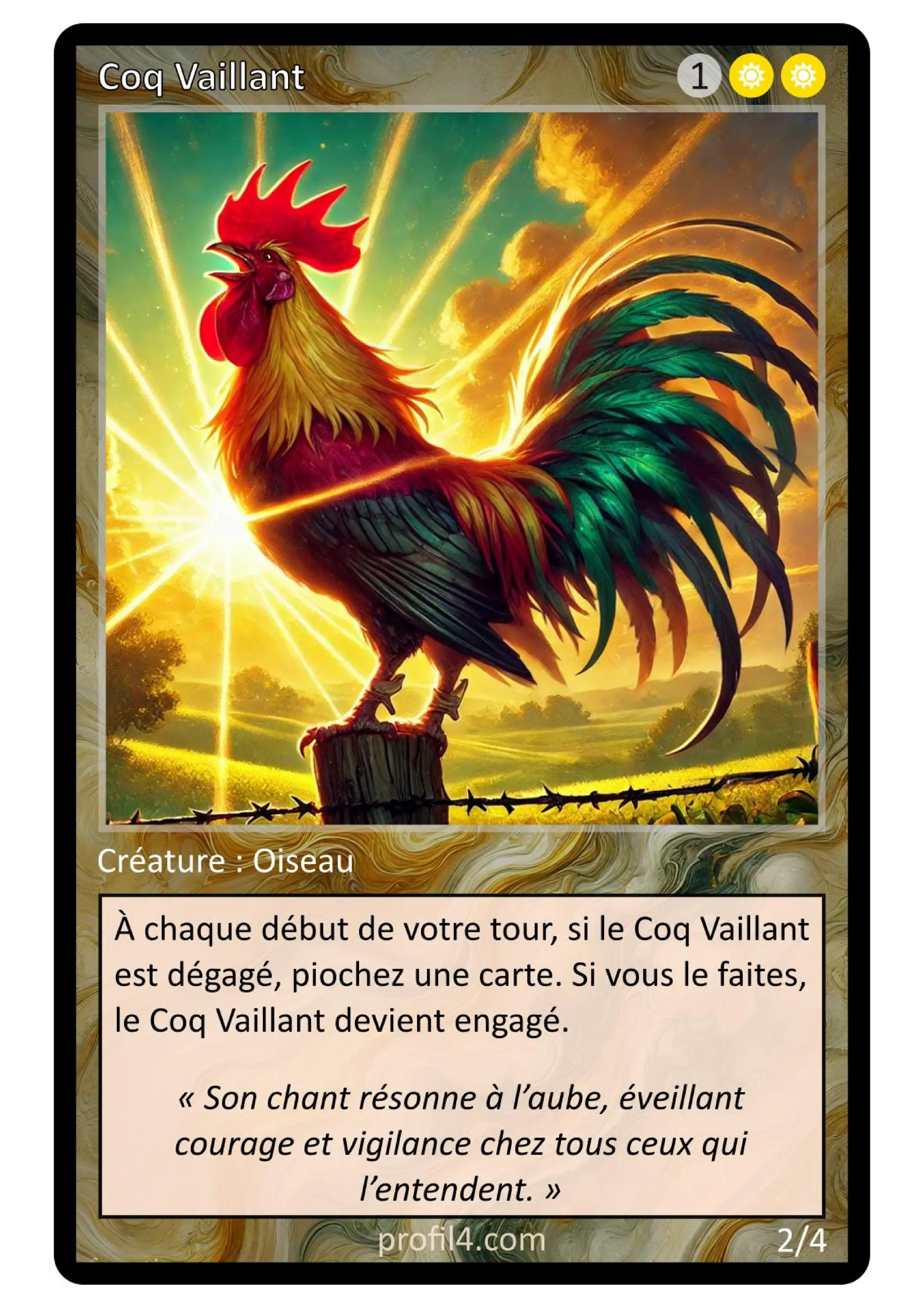 Jeu de 205 cartes DISC - Le rassemblement