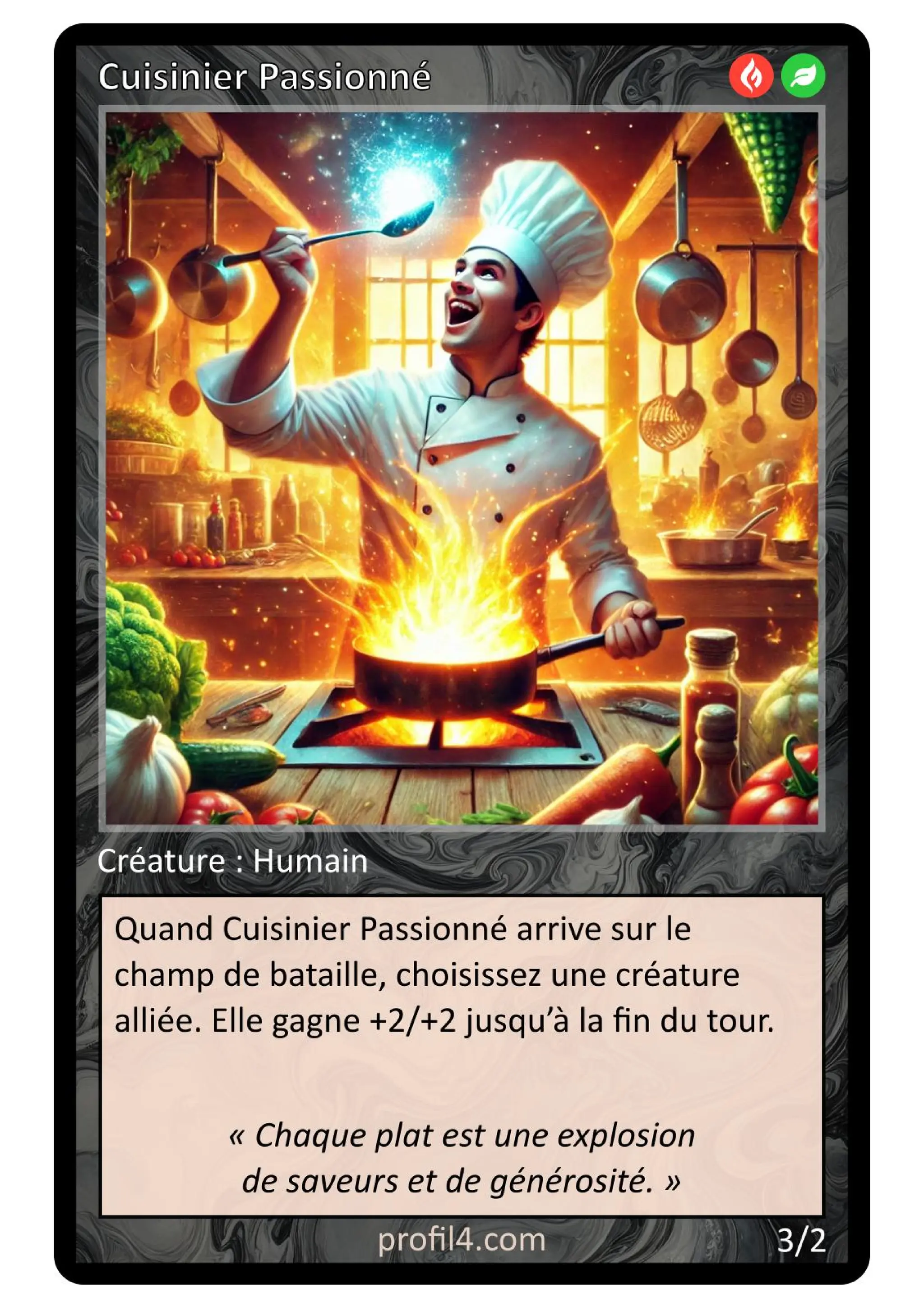 Jeu de 205 cartes DISC - Le rassemblement