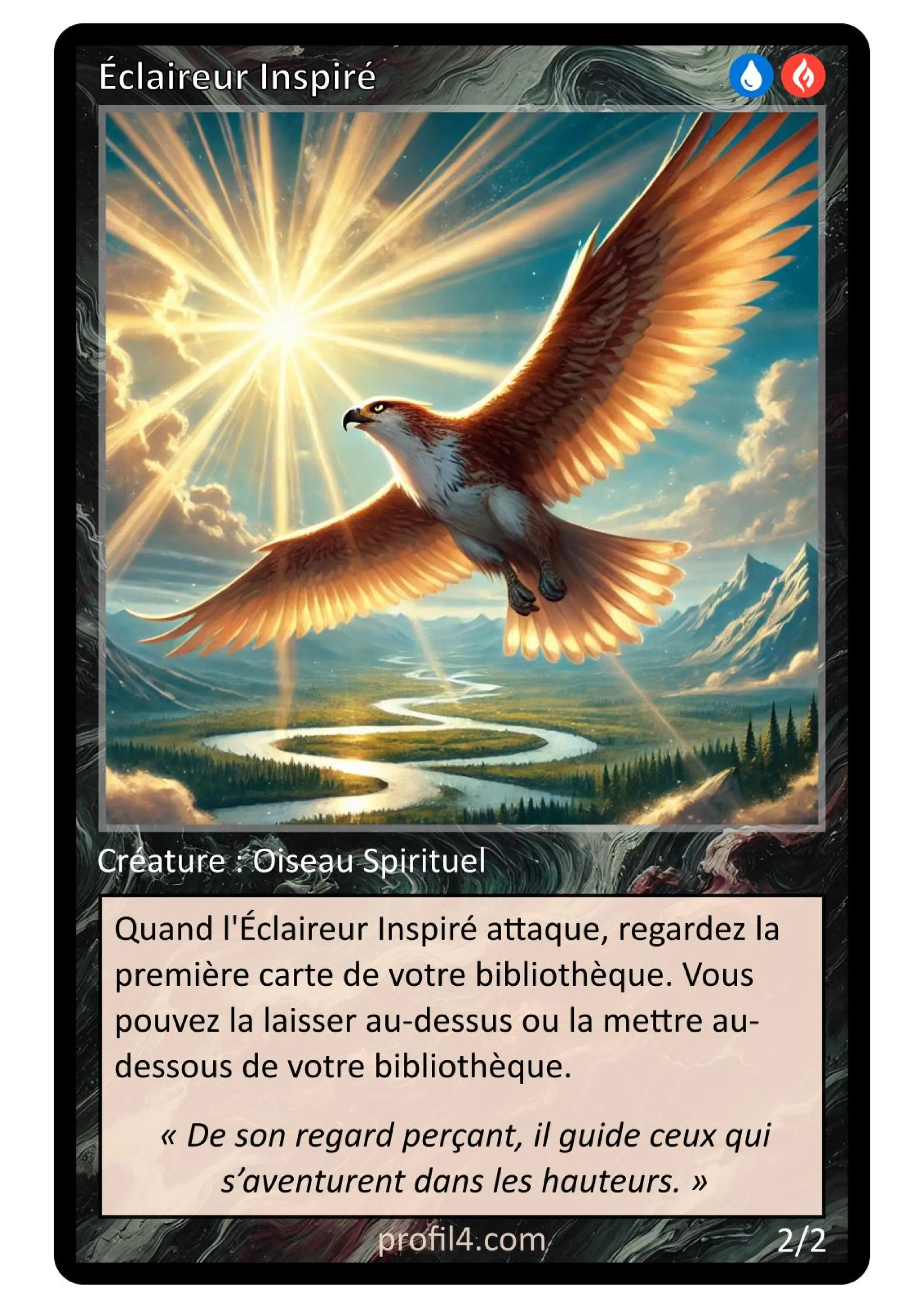 Jeu de 205 cartes DISC - Le rassemblement