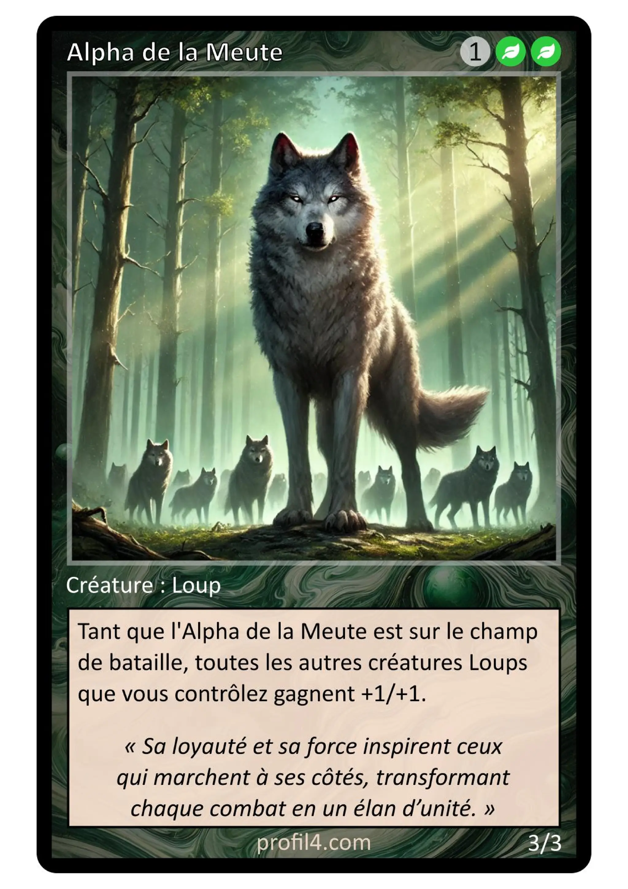 Jeu de 205 cartes DISC - Le rassemblement