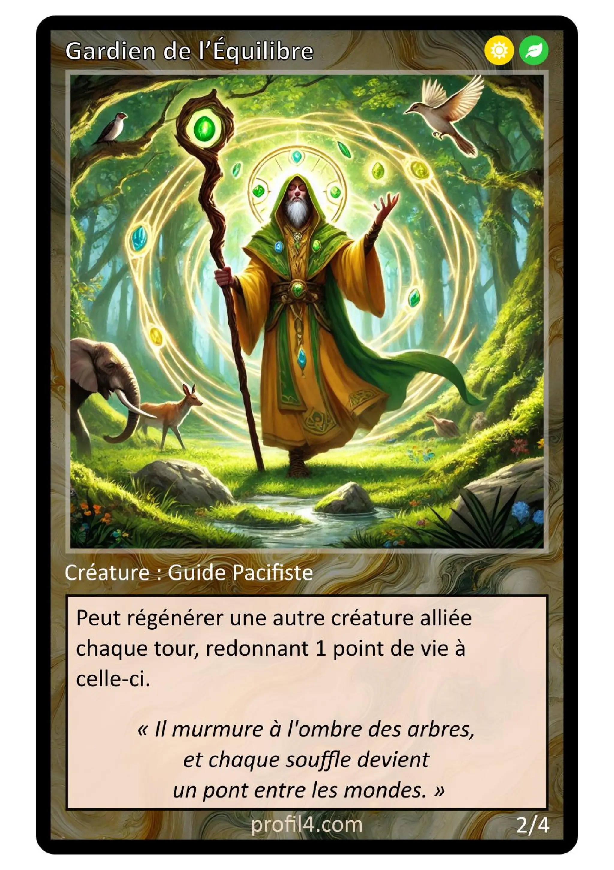 Jeu de 205 cartes DISC - Le rassemblement