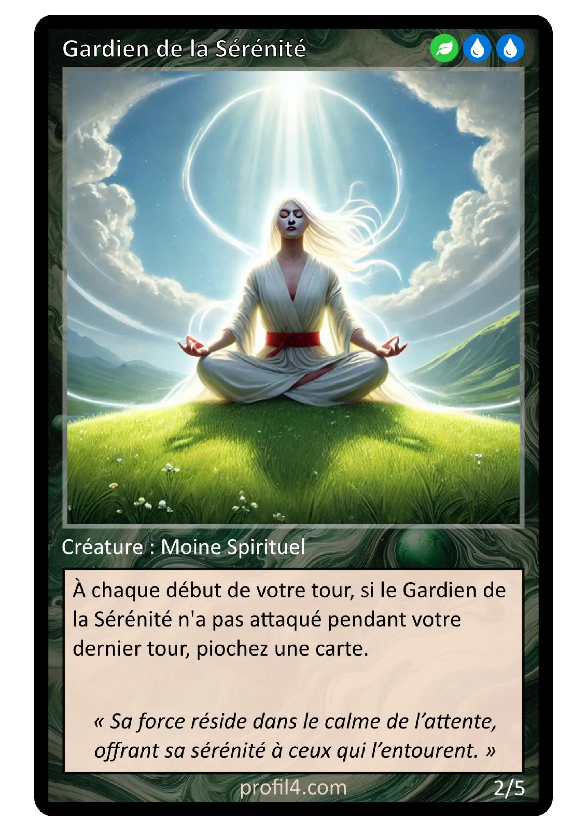 Jeu de 205 cartes DISC - Le rassemblement