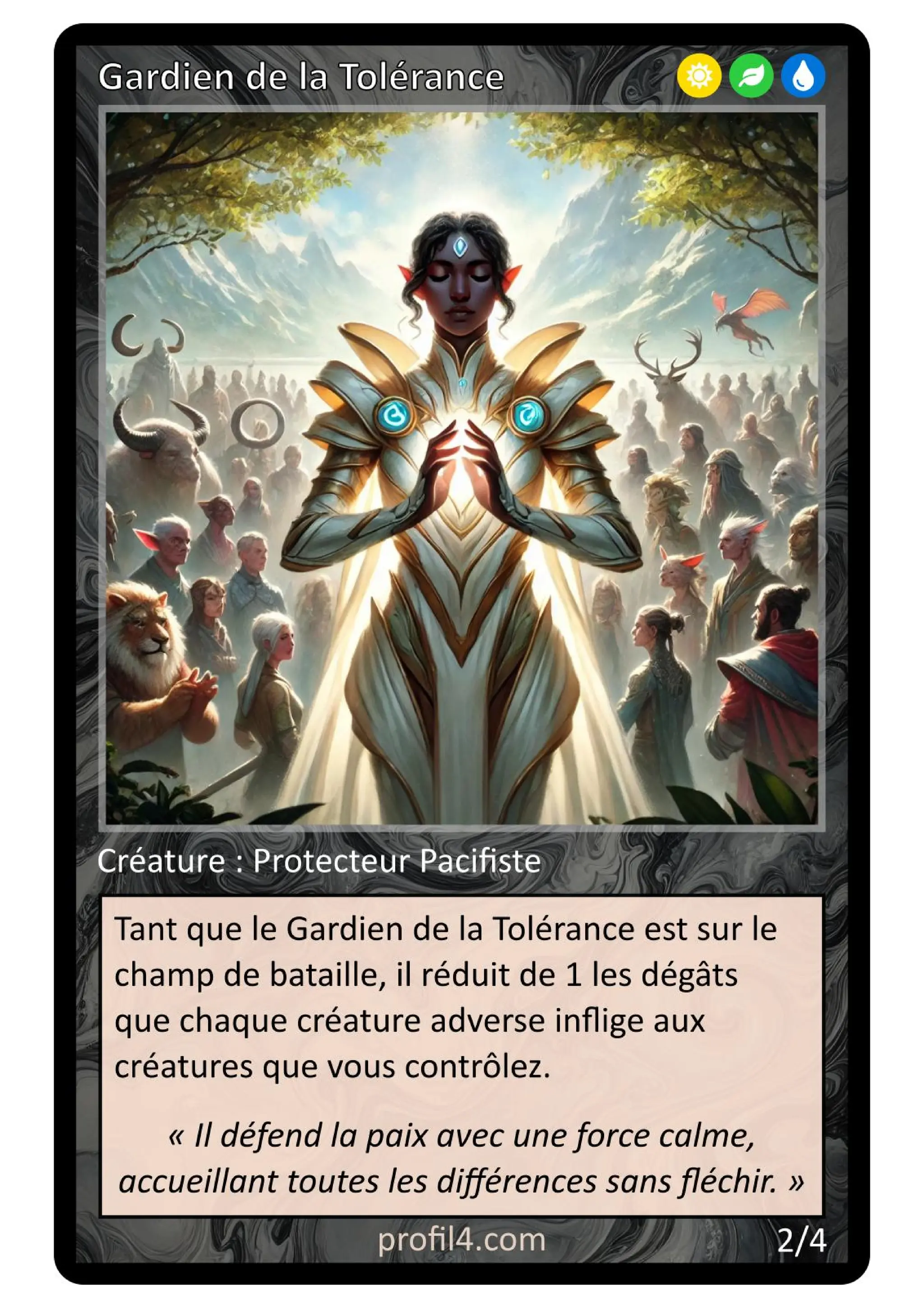 Jeu de 205 cartes DISC - Le rassemblement