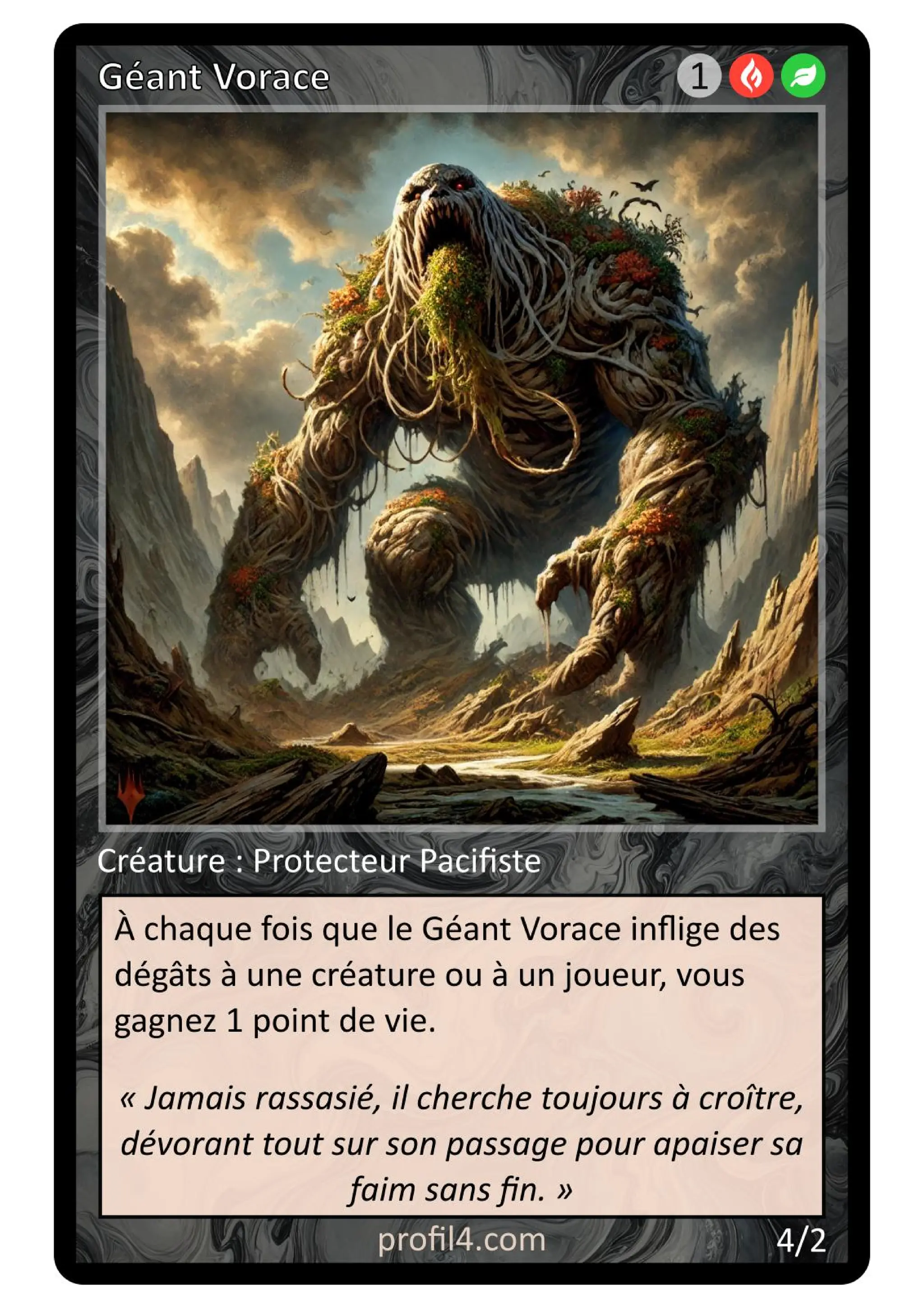 Jeu de 205 cartes DISC - Le rassemblement