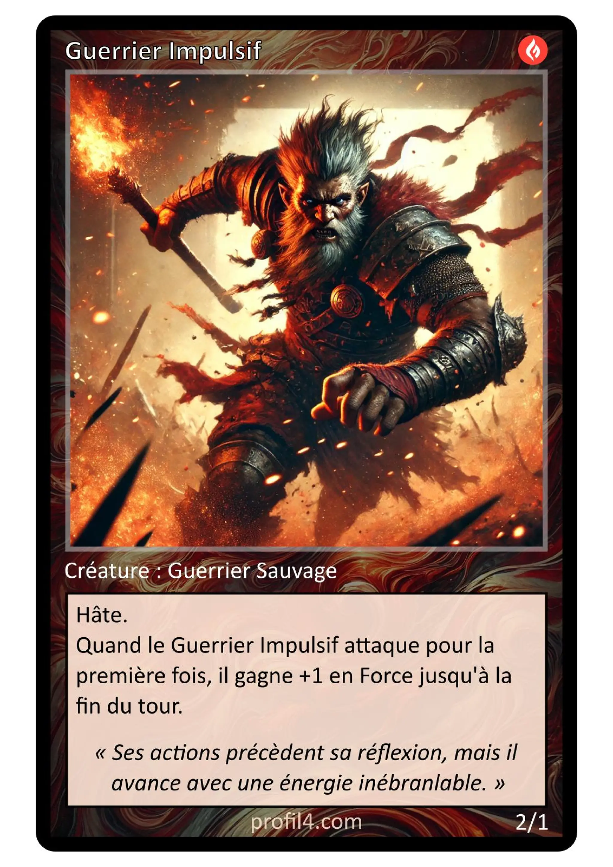 Jeu de 205 cartes DISC - Le rassemblement