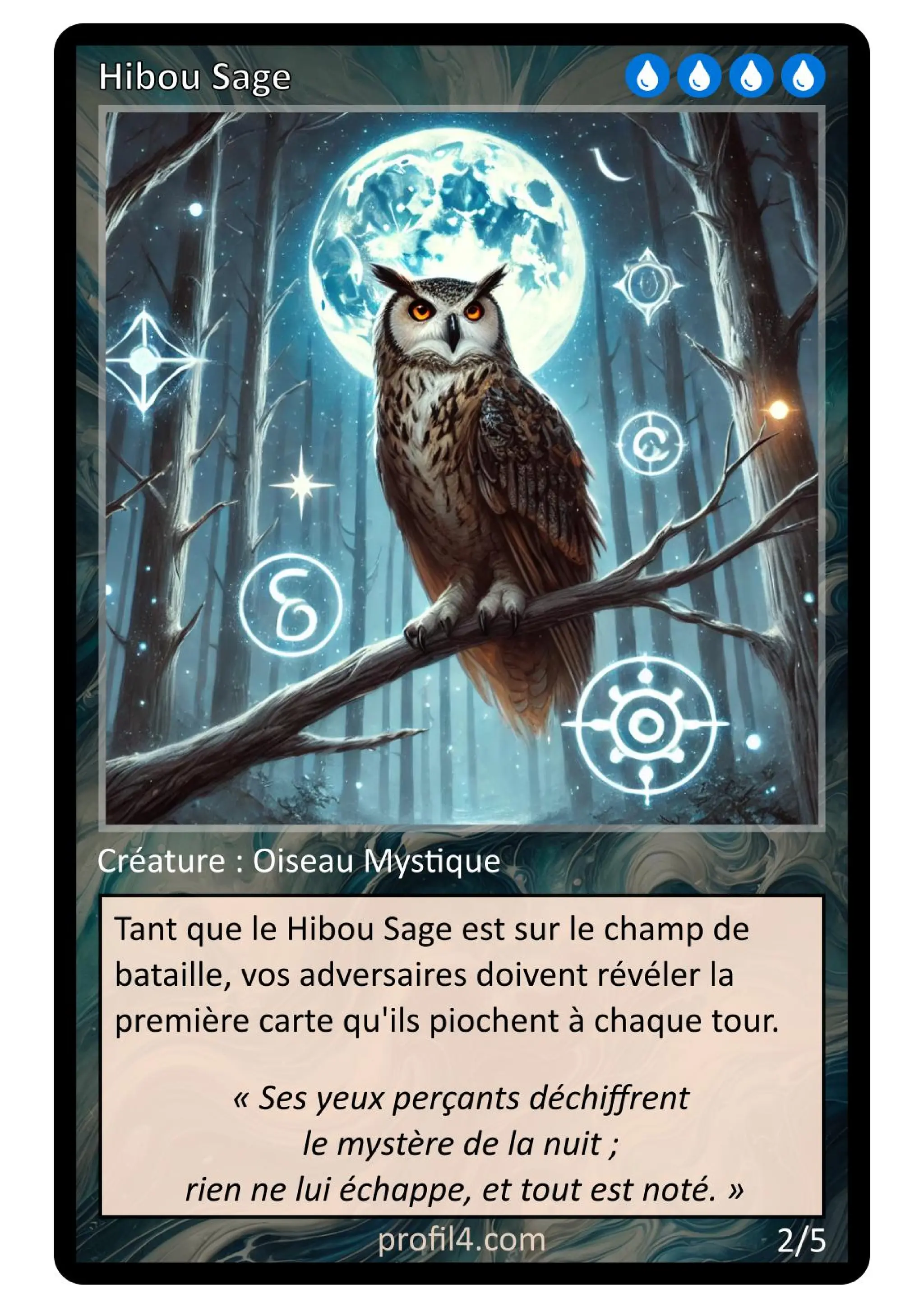 Jeu de 205 cartes DISC - Le rassemblement