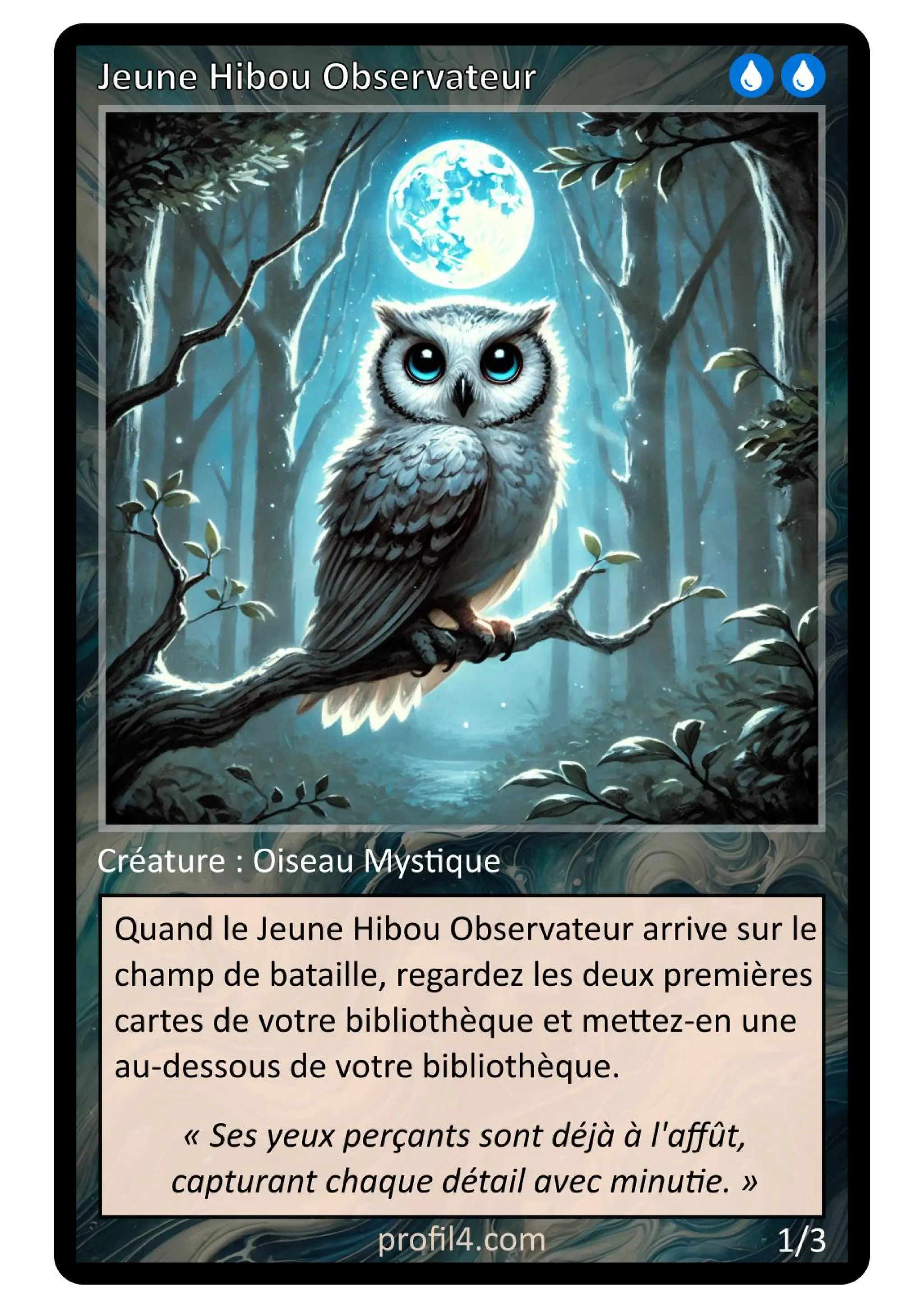 Jeu de 205 cartes DISC - Le rassemblement