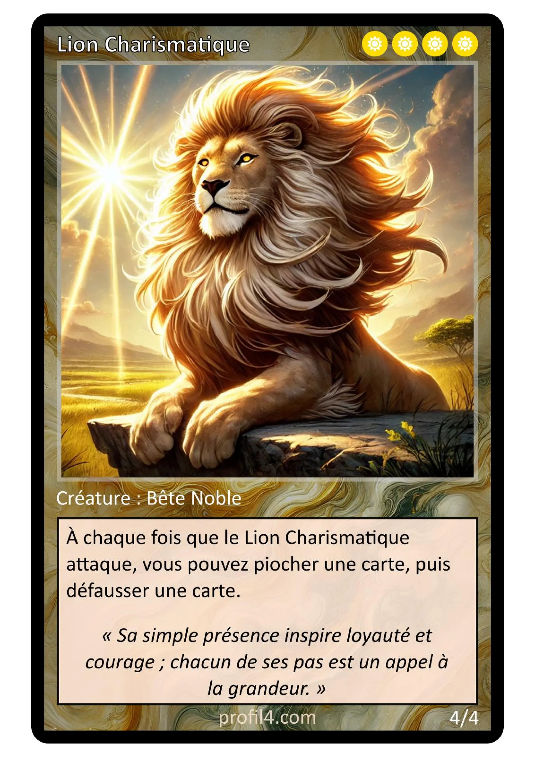 Jeu de 205 cartes DISC - Le rassemblement