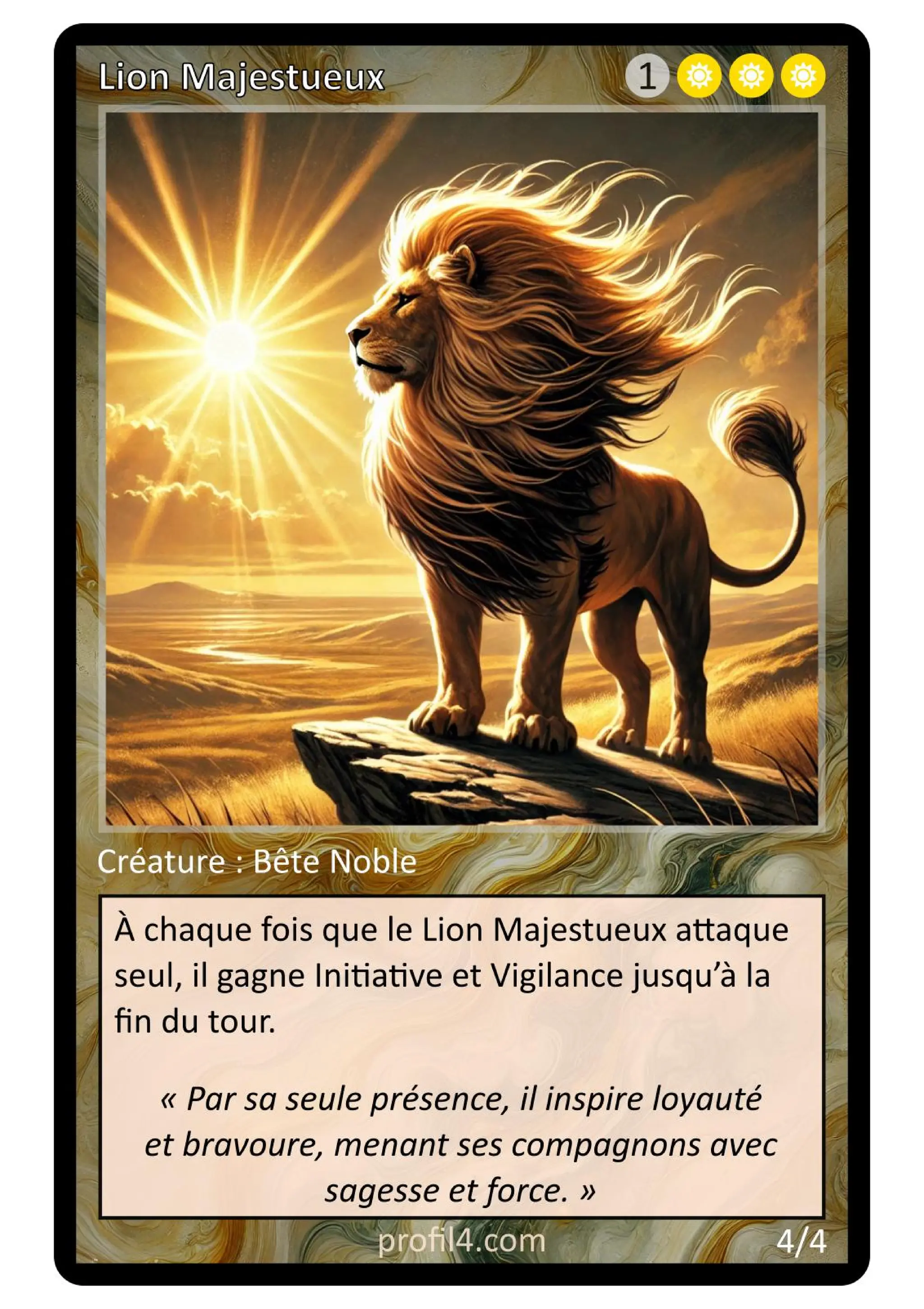 Jeu de 205 cartes DISC - Le rassemblement