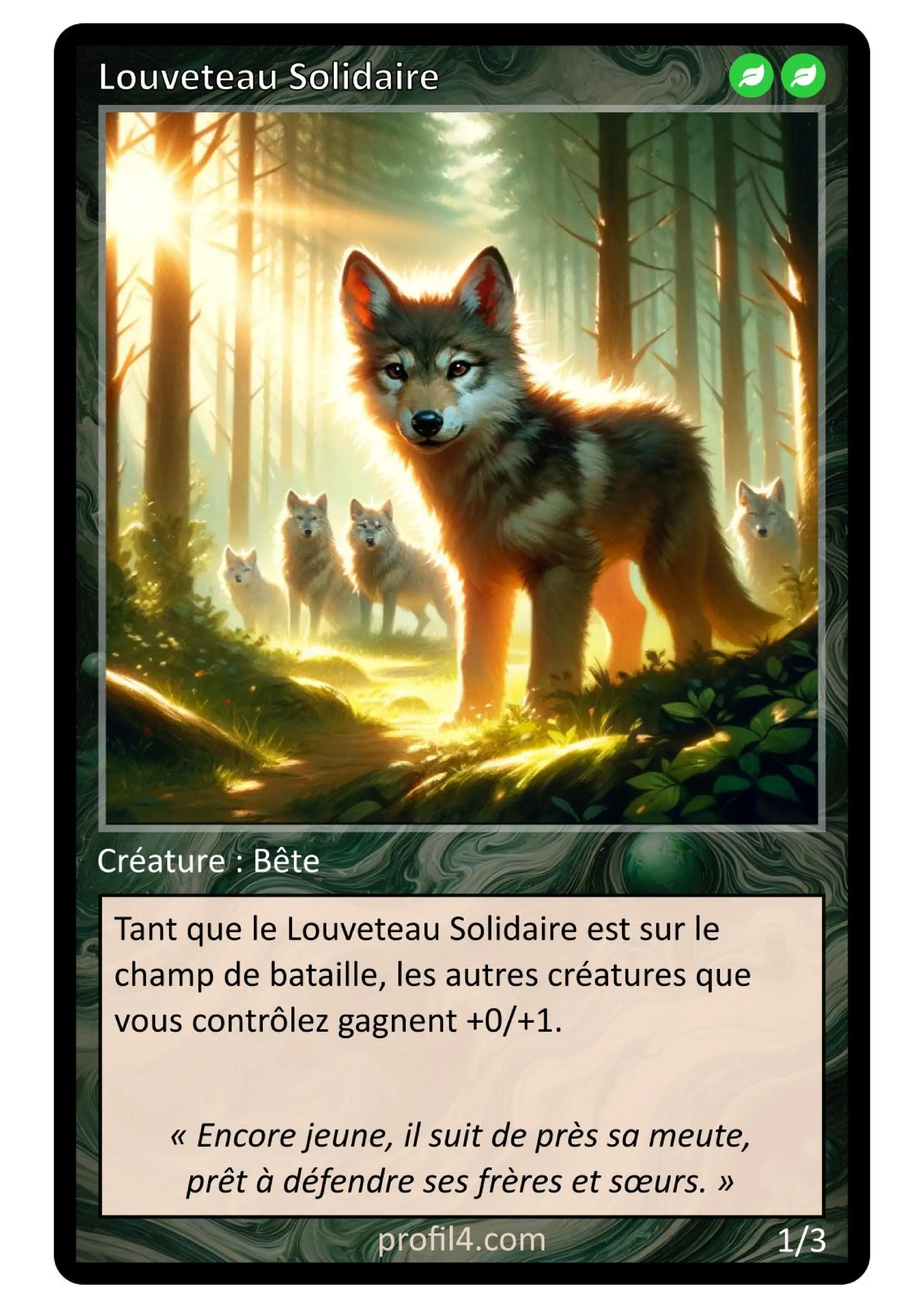 Jeu de 205 cartes DISC - Le rassemblement
