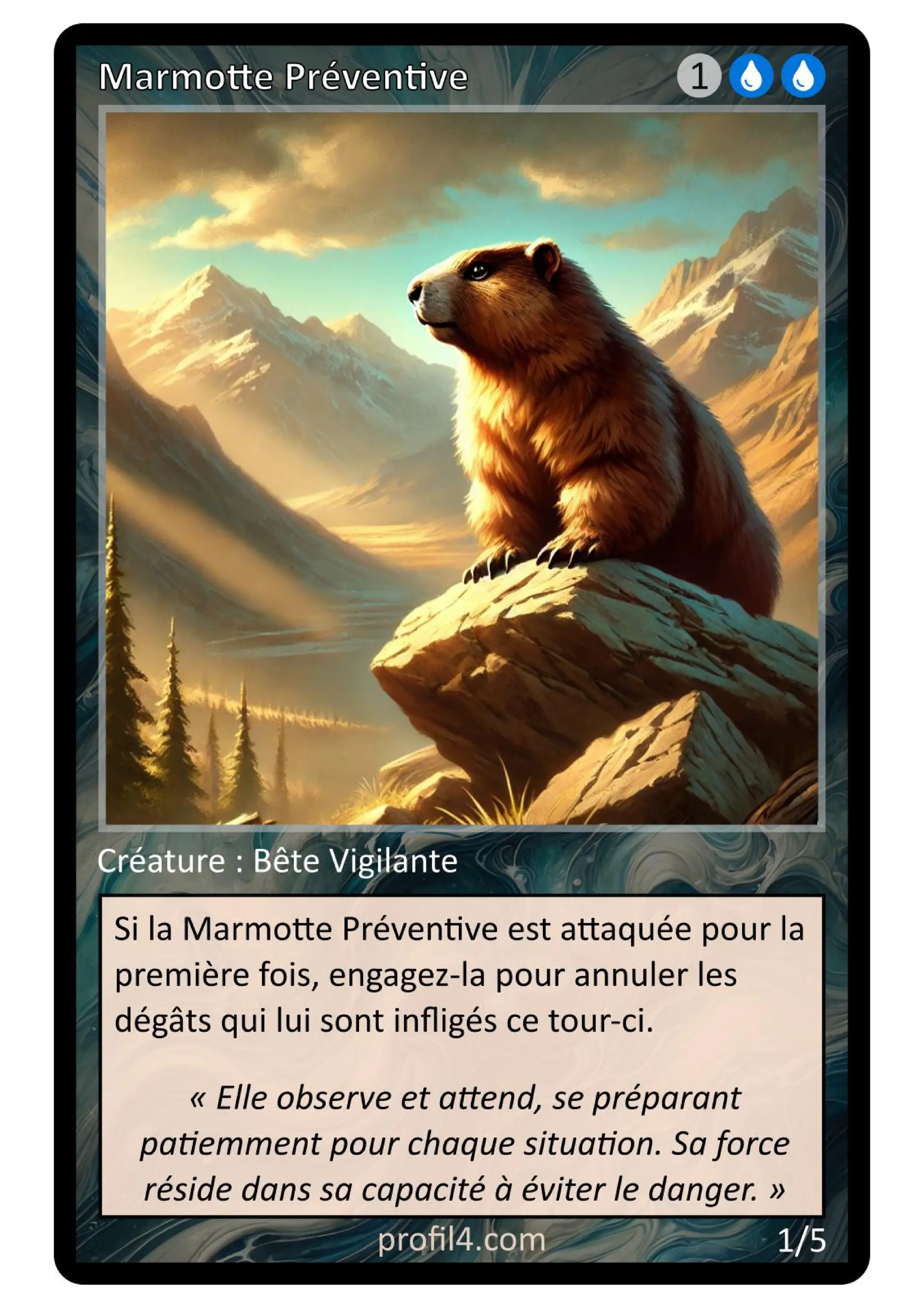 Jeu de 205 cartes DISC - Le rassemblement