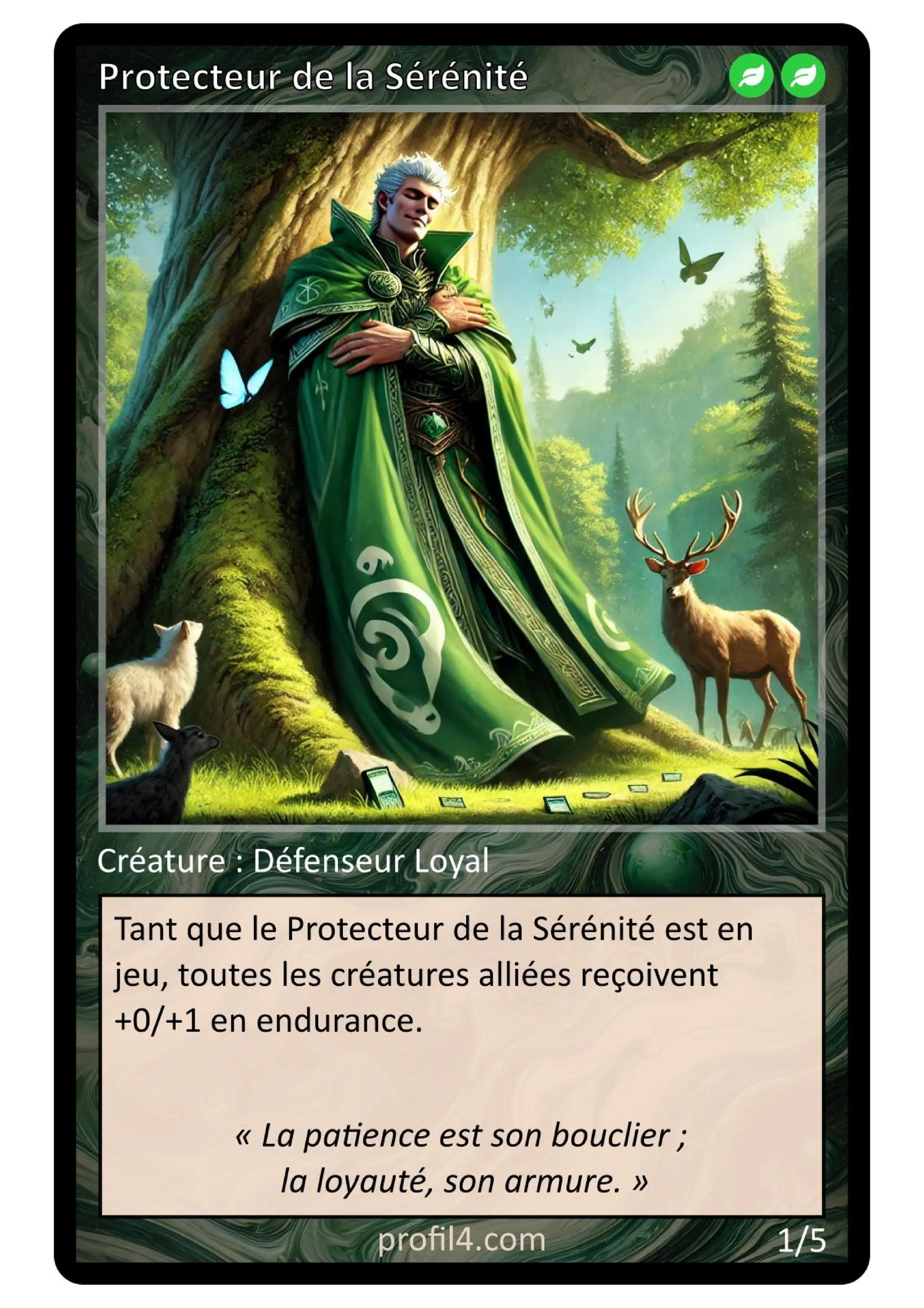 Jeu de 205 cartes DISC - Le rassemblement