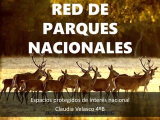 RED DE
PARQUES
NACIONALES
Espacios protegidos de interés nacional
Claudia Velasco 4ºB
 