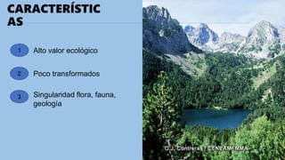 CARACTERÍSTIC
AS
1
2
3
Alto valor ecológico
Poco transformados
Singularidad flora, fauna,
geología
 