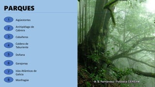 PARQUES
1 Aigüestortes
2 Archipiélago de
Cabrera
3 Cabañeros
4
Caldera de
Taburiente
5 Doñana
6 Garajonay
7 Islas Atlánticas de
Galicia
8 Monfragüe
 