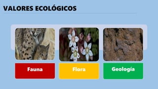 VALORES ECOLÓGICOS
Fauna Flora Geología
 