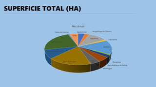 SUPERFICIE TOTAL (HA)
Aigüestortes Arcgipiélago de Cabrera
Cabañeros
Taburiente
Doñana
Garajonay
Islas Atlánticas de Galicia
Monfragüe
Ordesa
Picos de Europa
Sierra de Guadarrama
Sierra Nevada
Tablas de Daimiel
Teide
Hectáreas
 