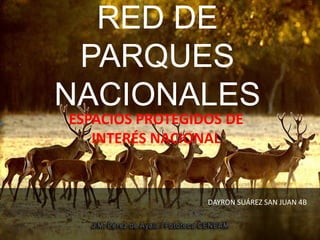 RED DE
PARQUES
NACIONALES
ESPACIOS PROTEGIDOS DE
INTERÉS NACIONAL
DAYRON SUÁREZ SAN JUAN 4B
 