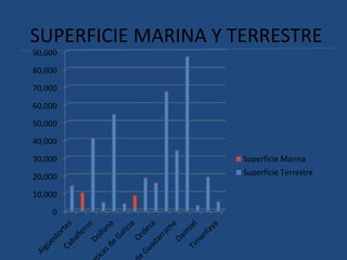 SUPERFICIE MARINA Y TERRESTRE
0
10,000
20,000
30,000
40,000
50,000
60,000
70,000
80,000
90,000
Superficie Marina
Superfici...