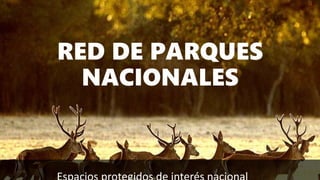 RED DE PARQUES
NACIONALES
 