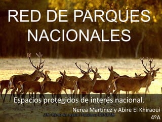 RED DE PARQUES
NACIONALES
Espacios protegidos de interés nacional.
Nerea Martínez y Abire El Khiraoui
4ºA
 