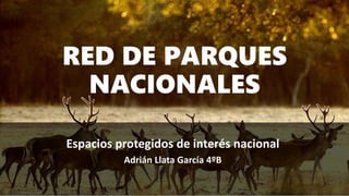 RED DE PARQUES
NACIONALES
Espacios protegidos de interés nacional
Adrián Llata García 4ºB
 